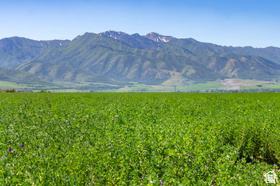 LEGACY RANCH ESTATES - Land
