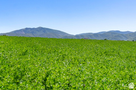 LEGACY RANCH ESTATES - Land