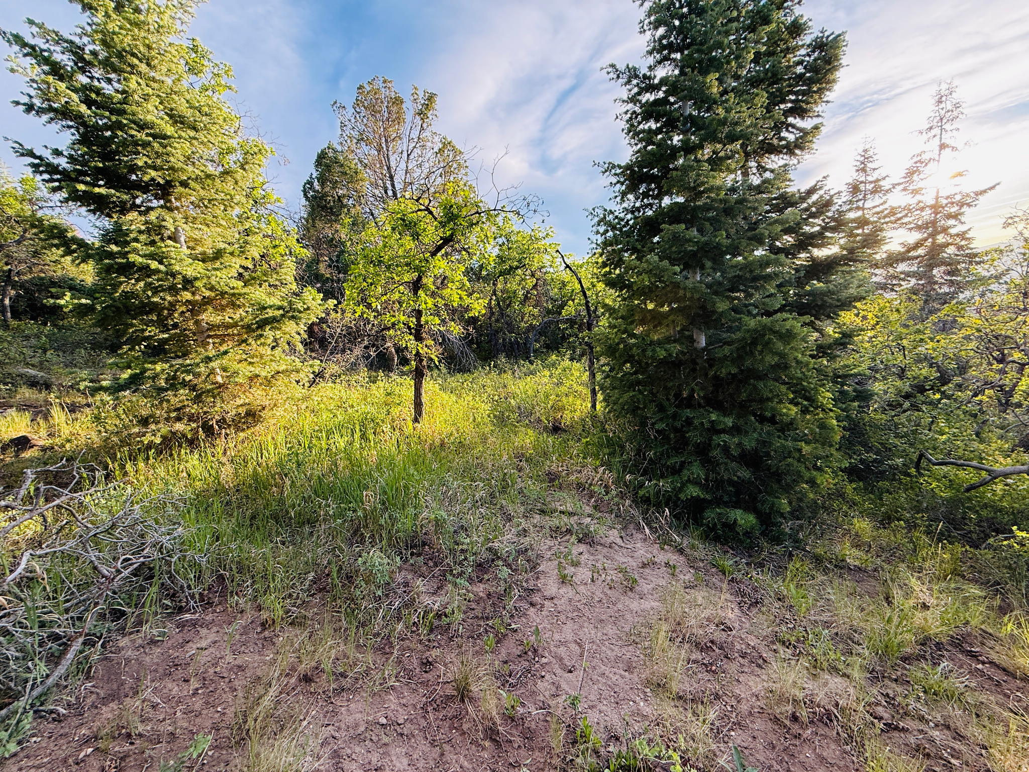 SKYLINE ACRES - Land