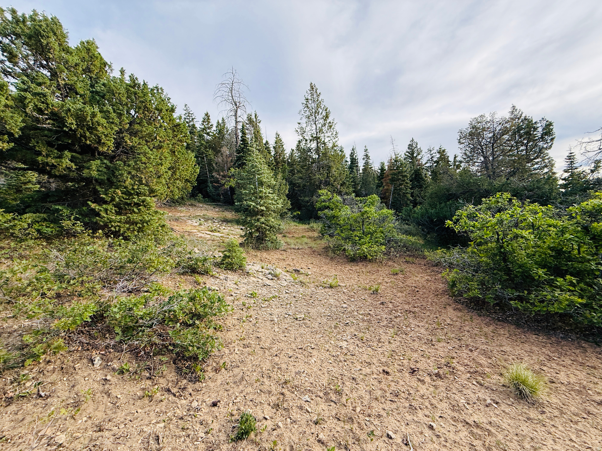 SKYLINE ACRES - Land