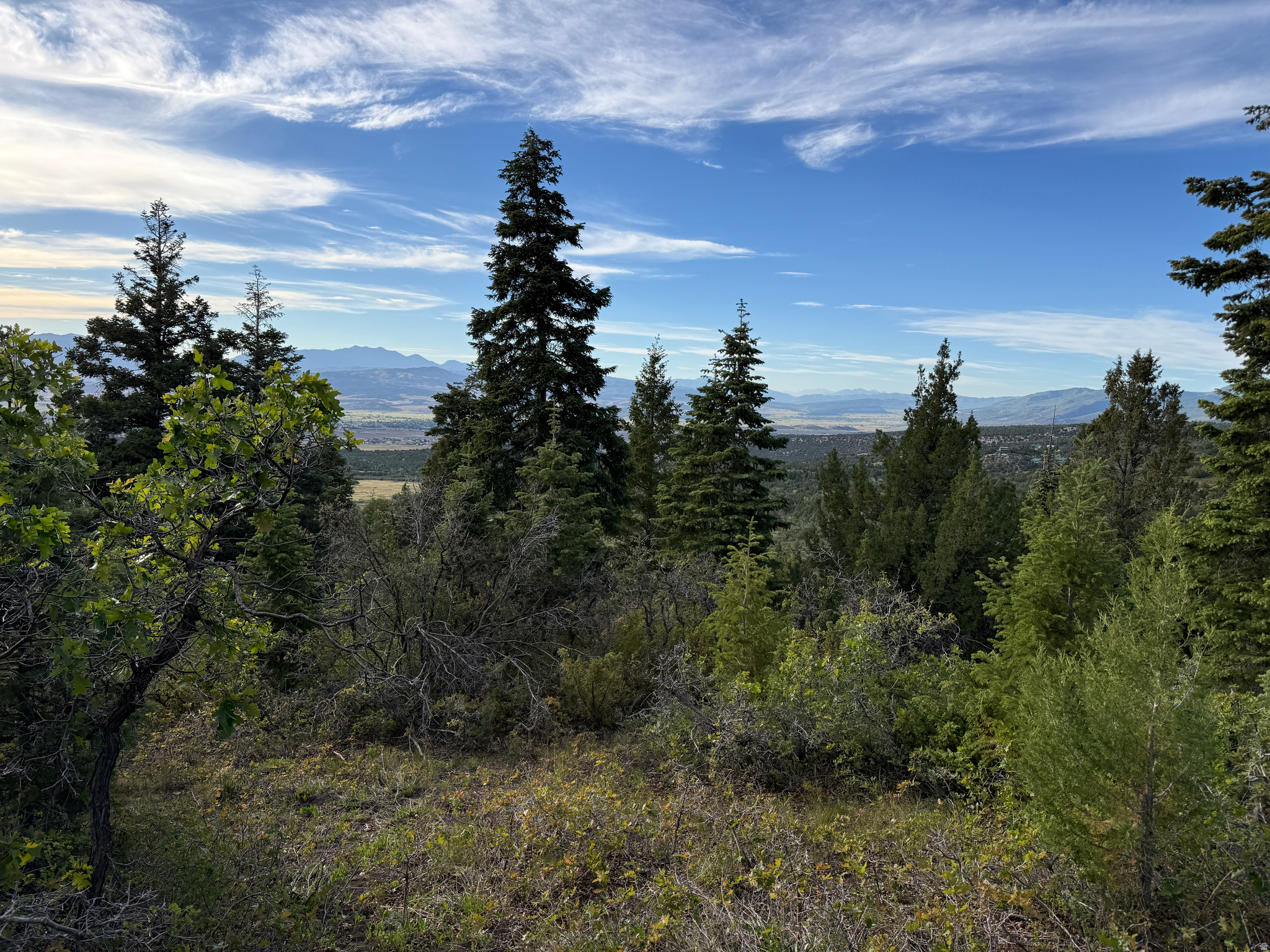 SKYLINE ACRES - Land