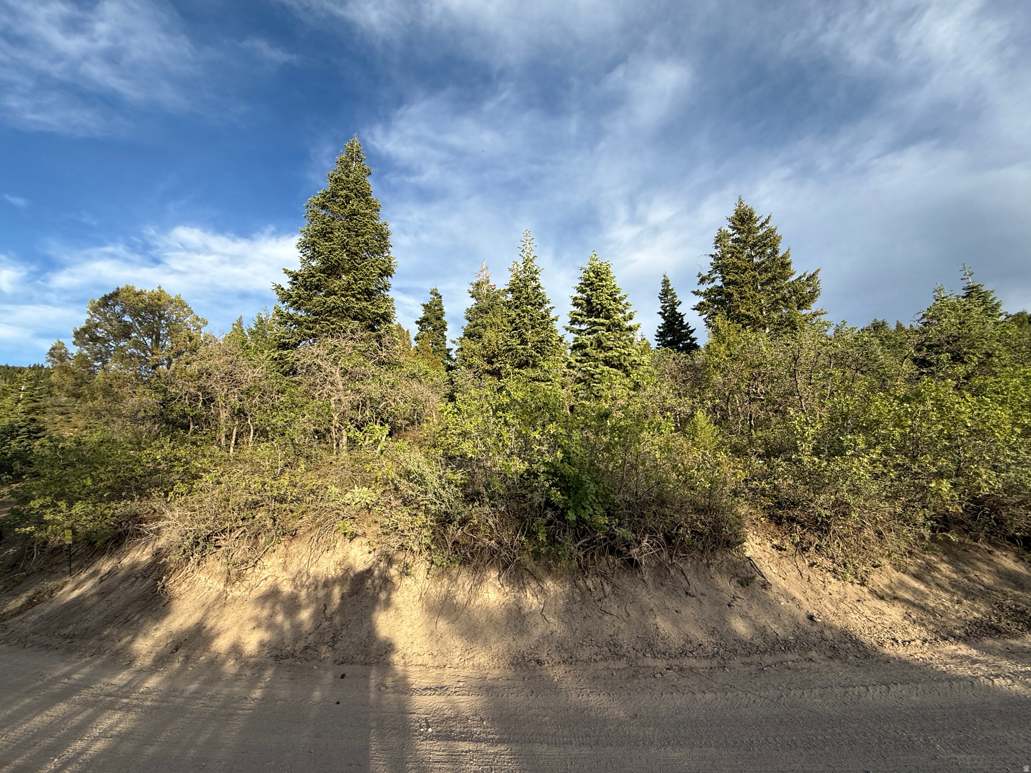 SKYLINE ACRES - Land