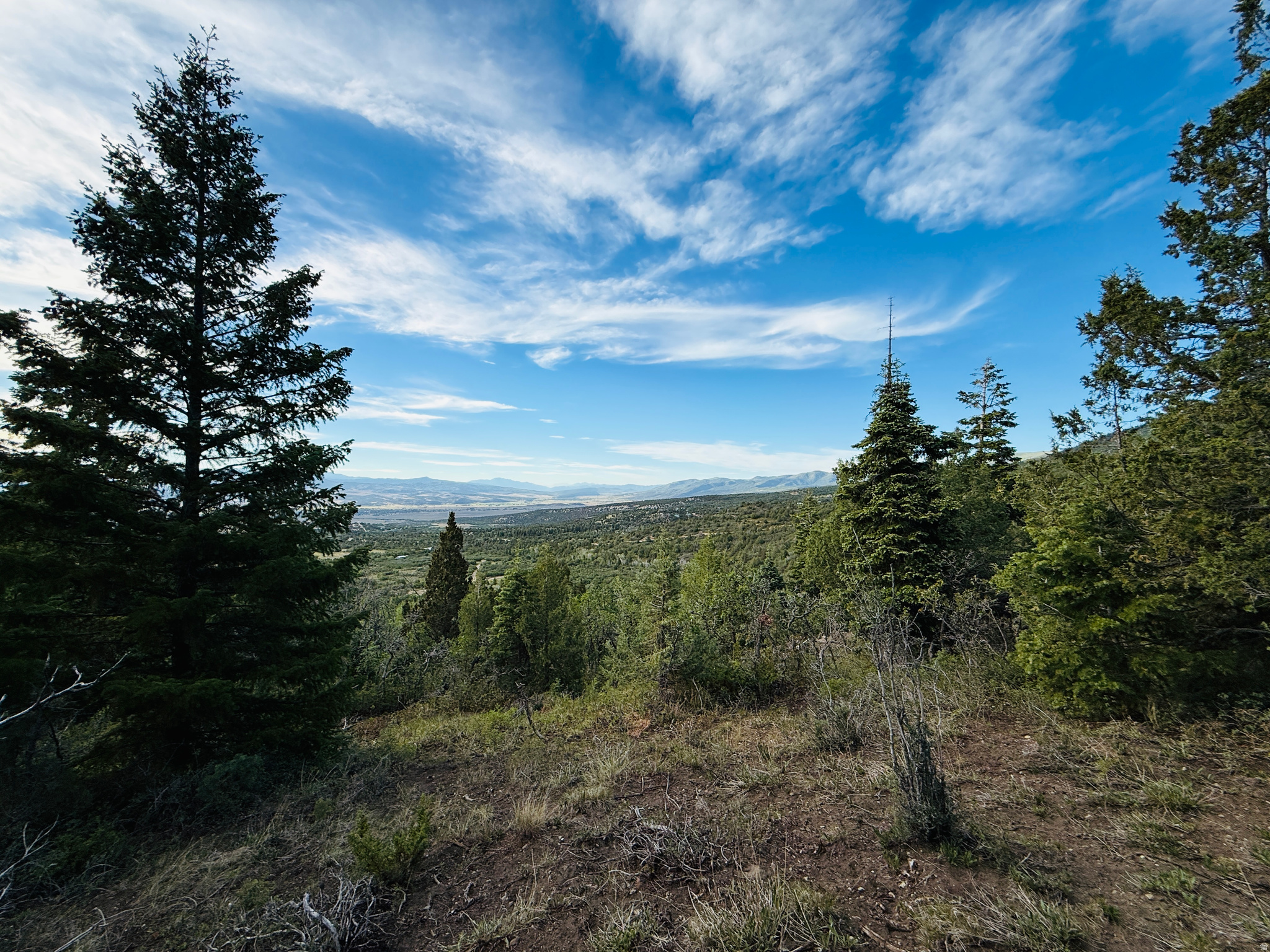SKYLINE ACRES - Land