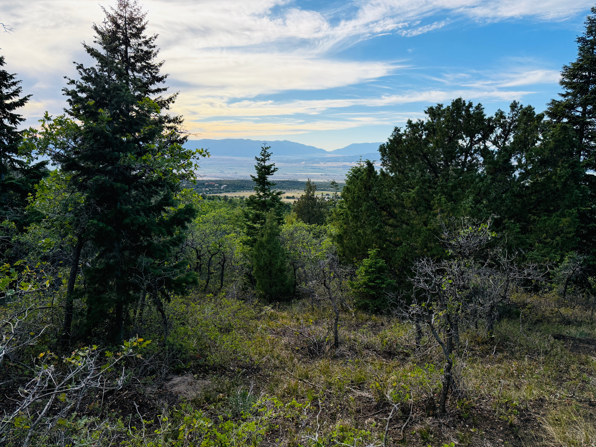 SKYLINE ACRES - Land