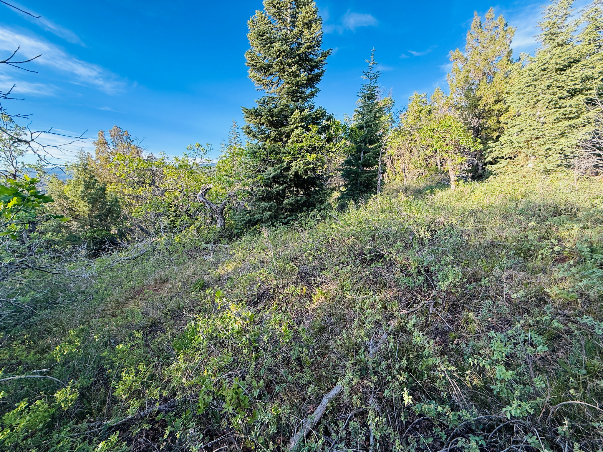 SKYLINE ACRES - Land