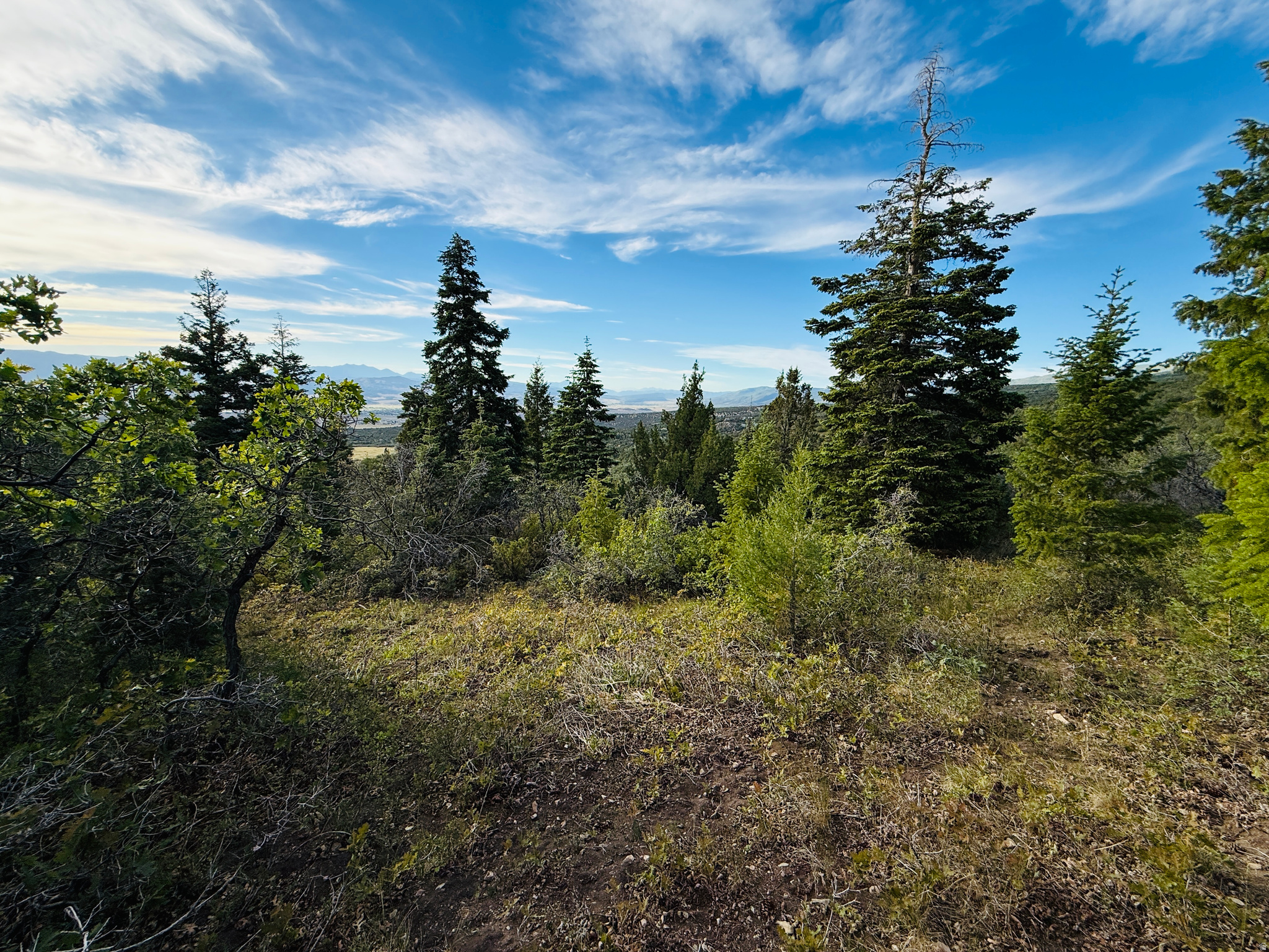 SKYLINE ACRES - Land