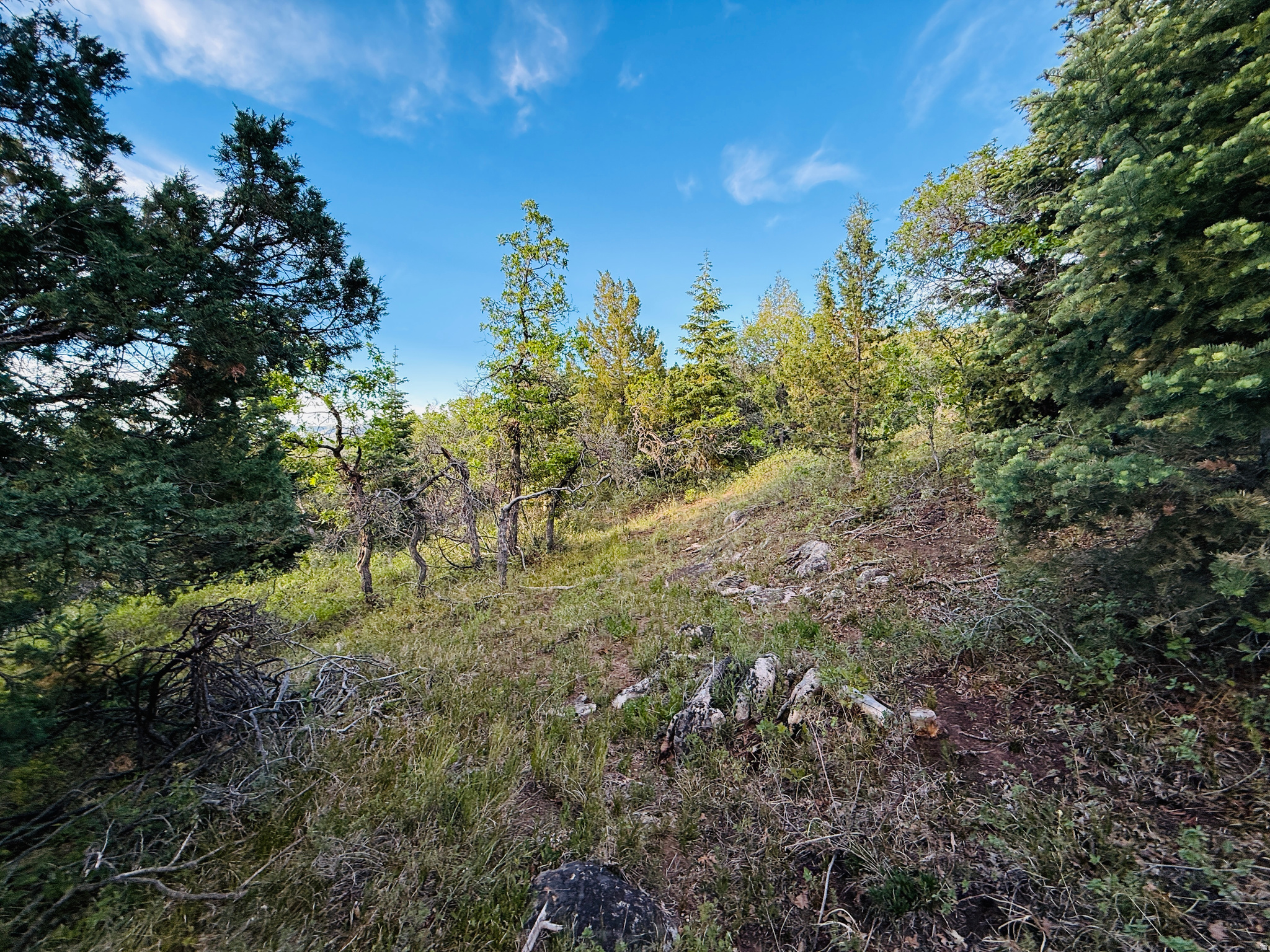 SKYLINE ACRES - Land