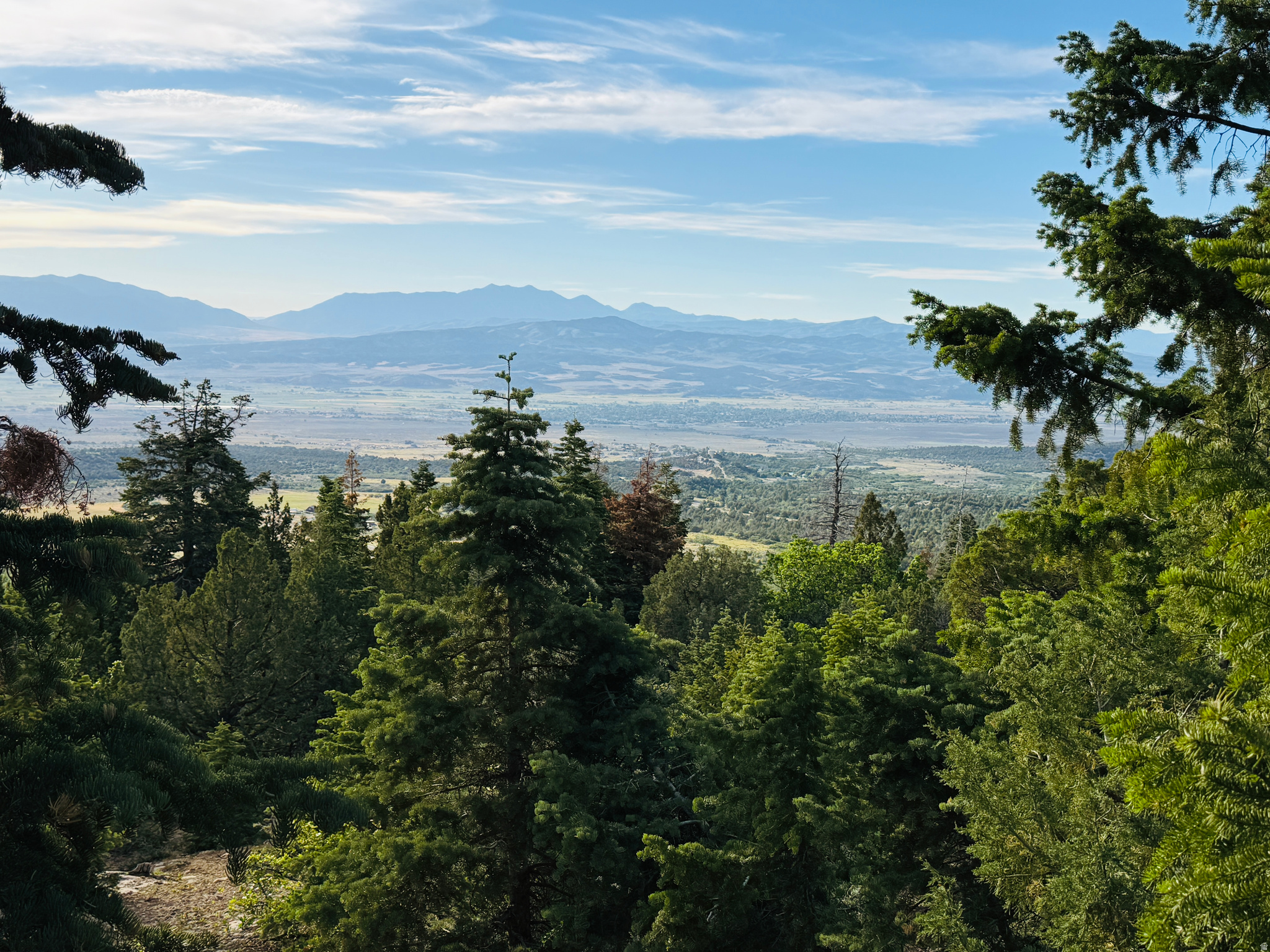 SKYLINE ACRES - Land
