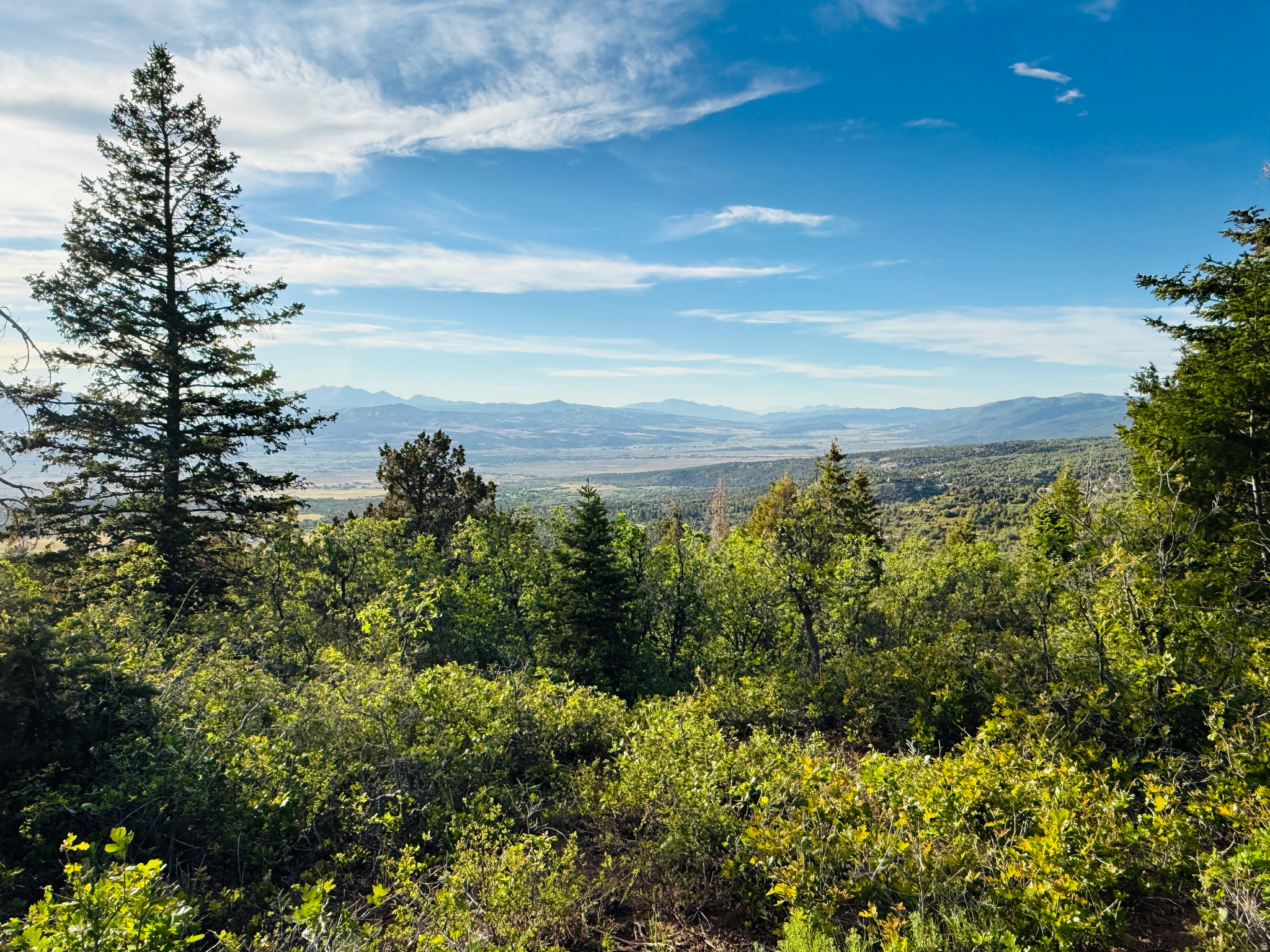 SKYLINE ACRES - Land