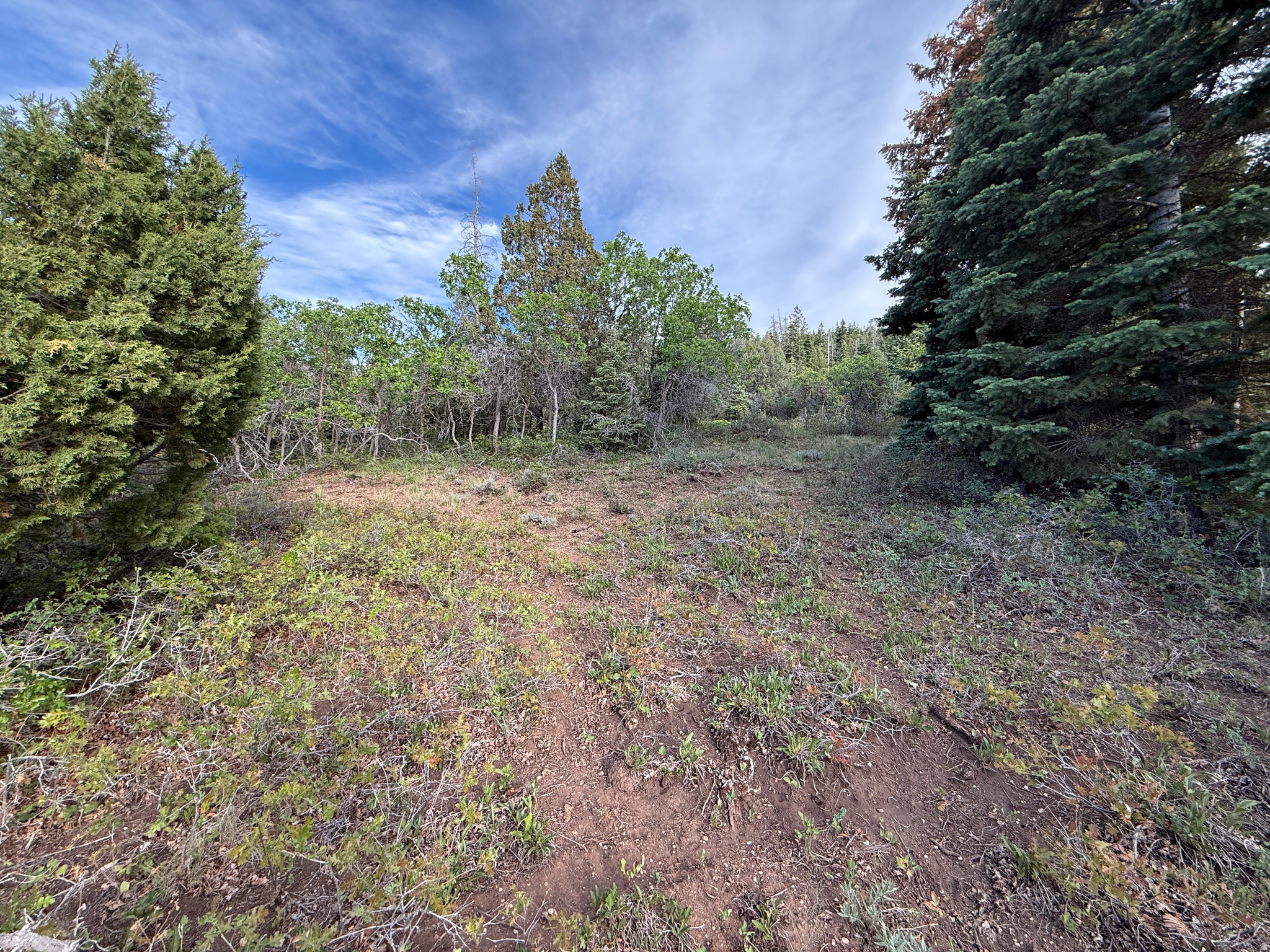 SKYLINE ACRES - Land