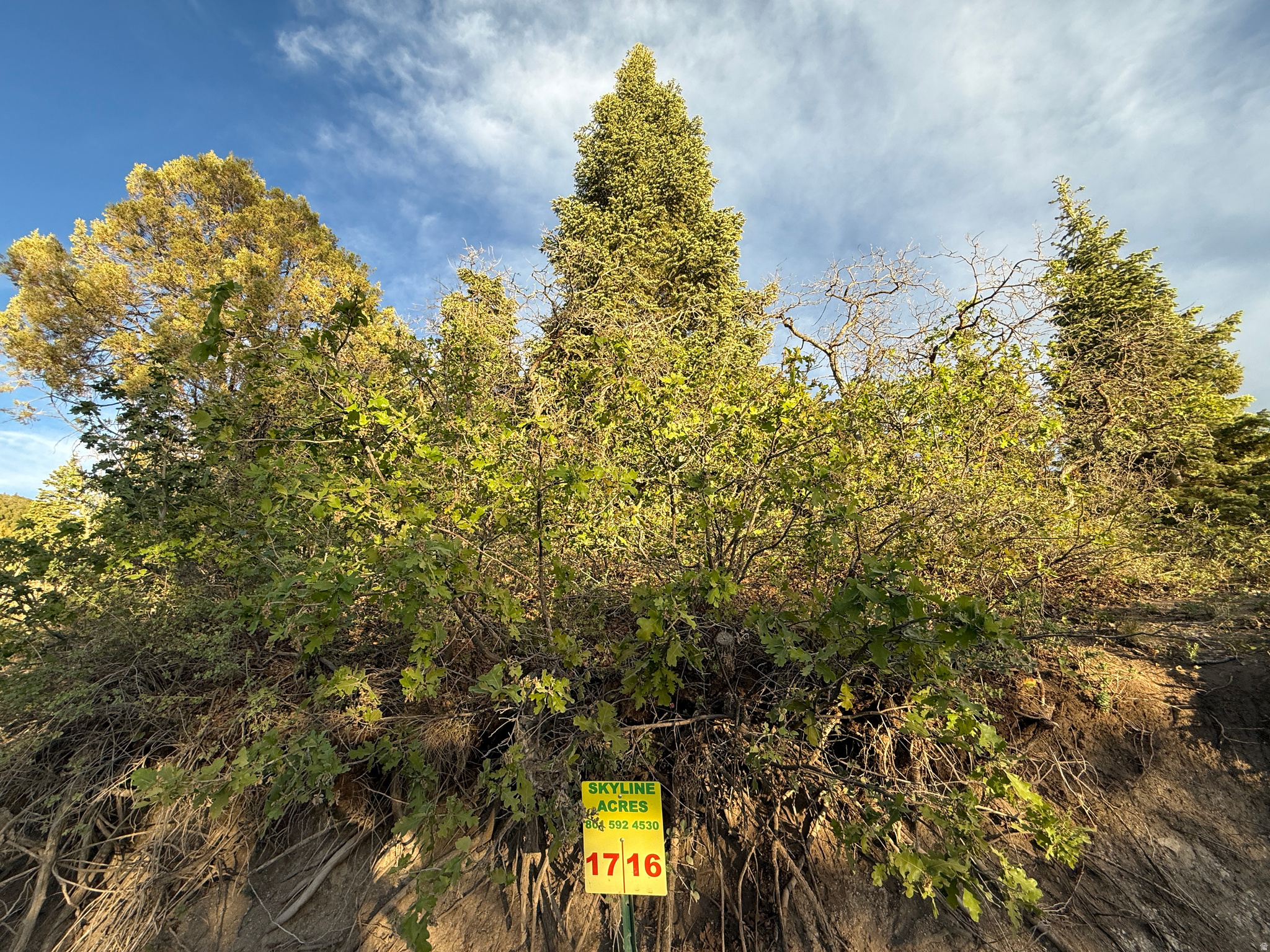 SKYLINE ACRES - Land