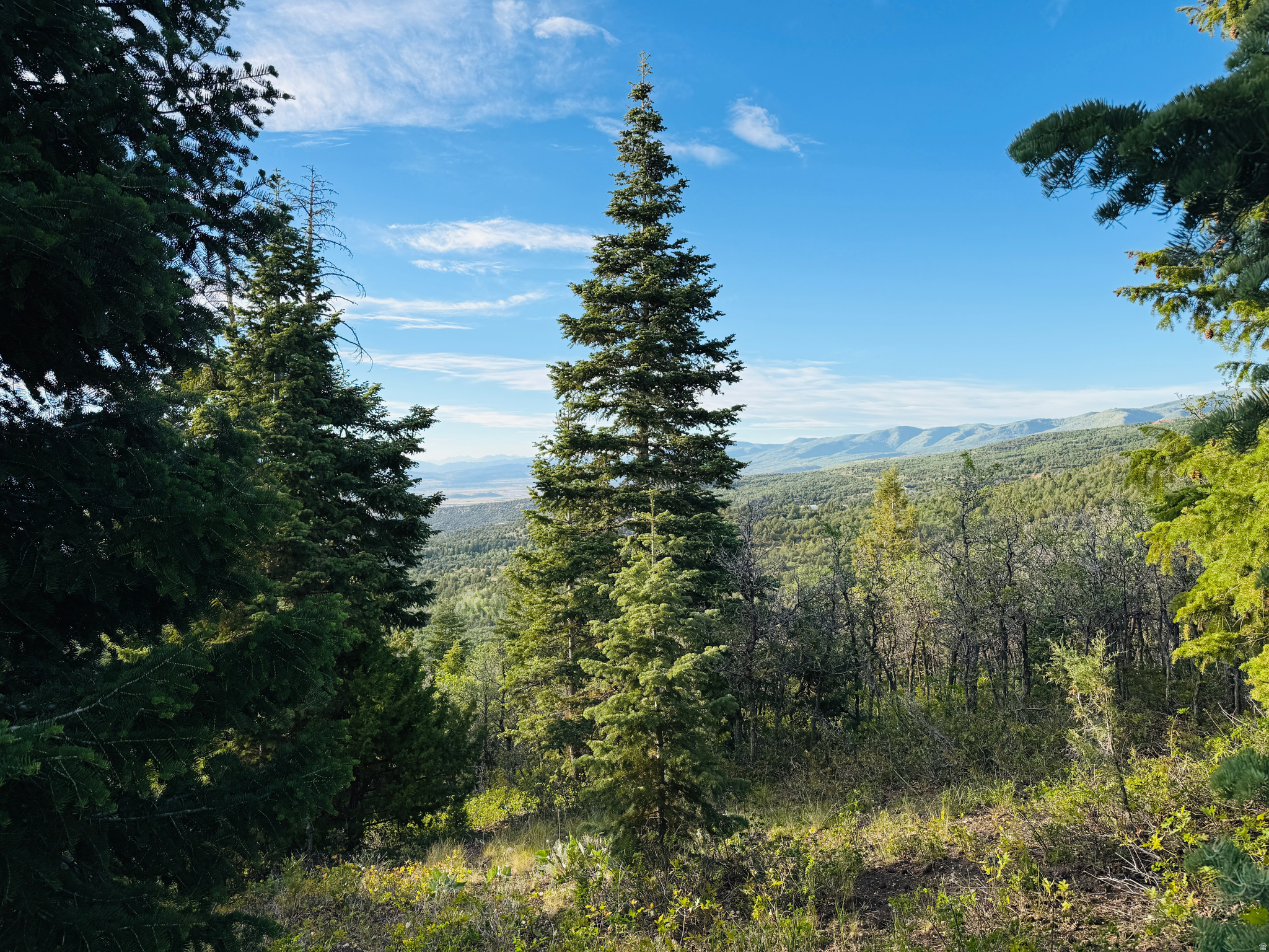 SKYLINE ACRES - Land