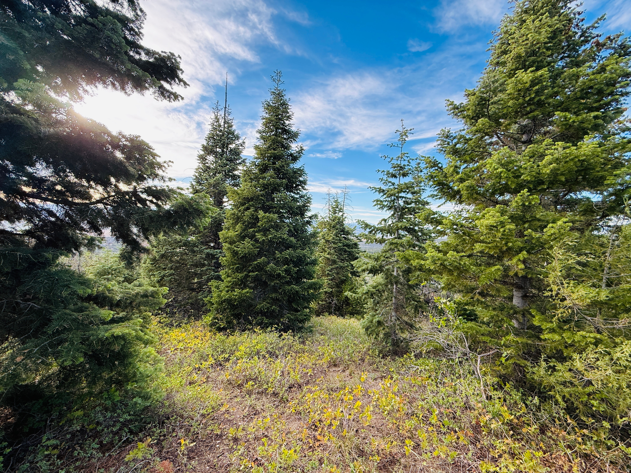 SKYLINE ACRES - Land