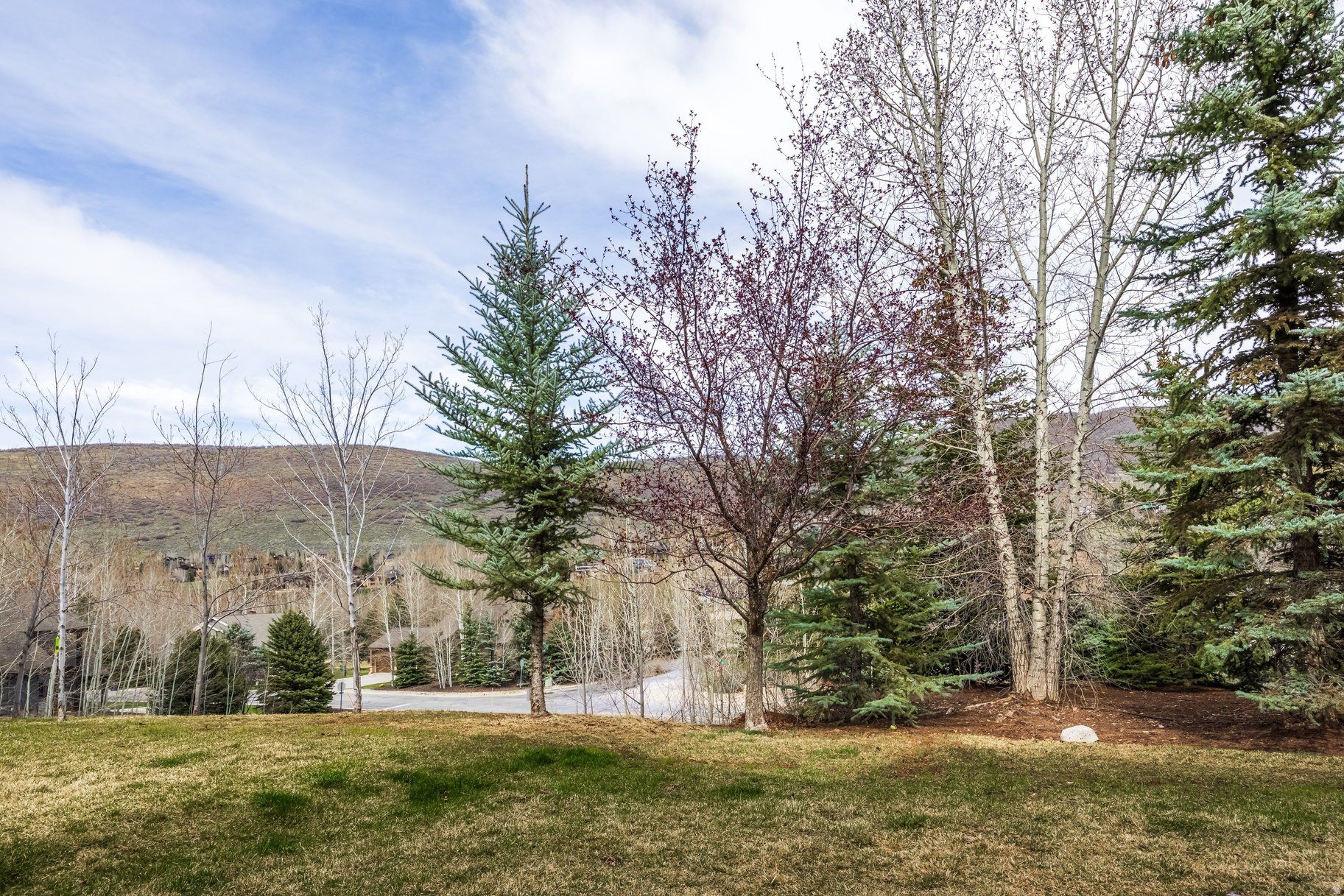 CANYON LINKS - Residential