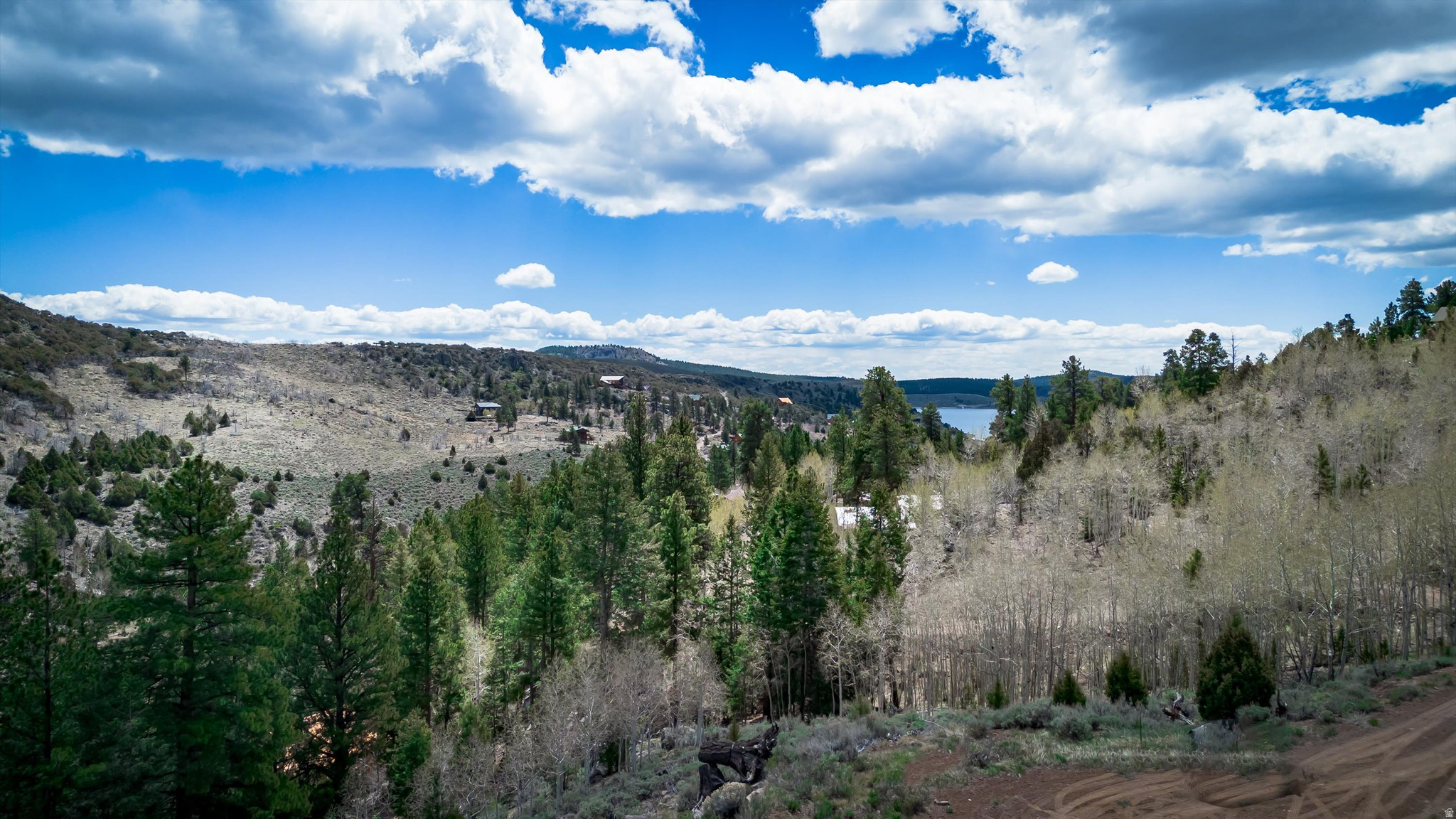 Private lot located at the end of a quiet cul-de-sac and bordering Dixie National Forest. Utilities located in the street with the HOA maintaining roads, you'll have year round access to the property.