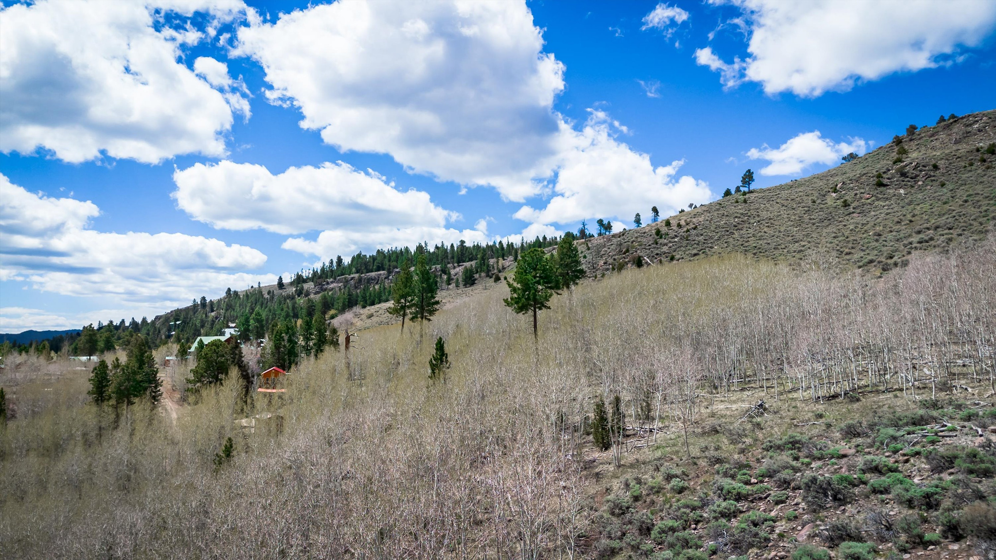 BEAVER DAM VILLAGE - Land