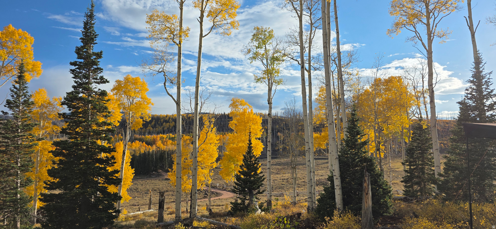 HENRIES HOLLOW - Land