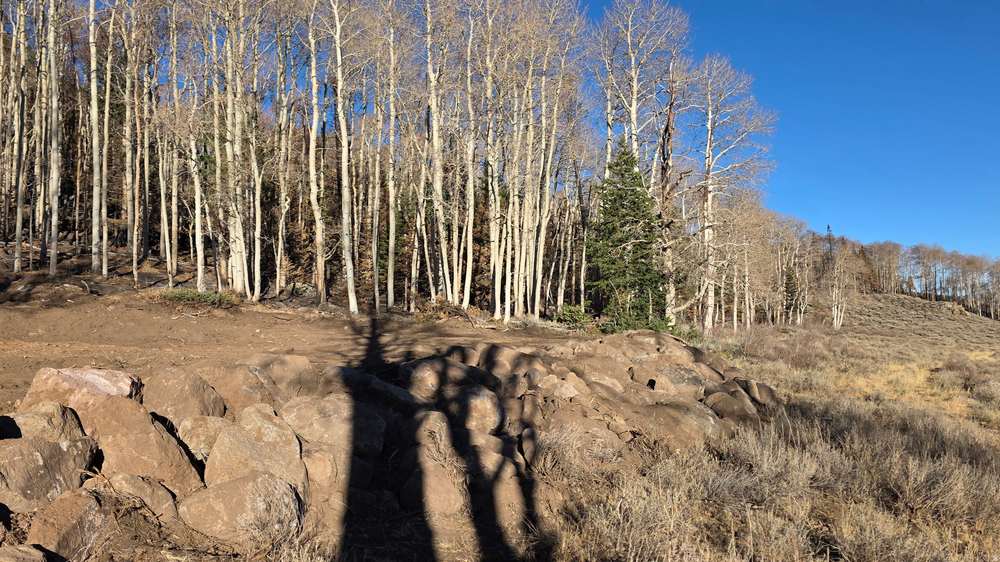 HENRIES HOLLOW - Land