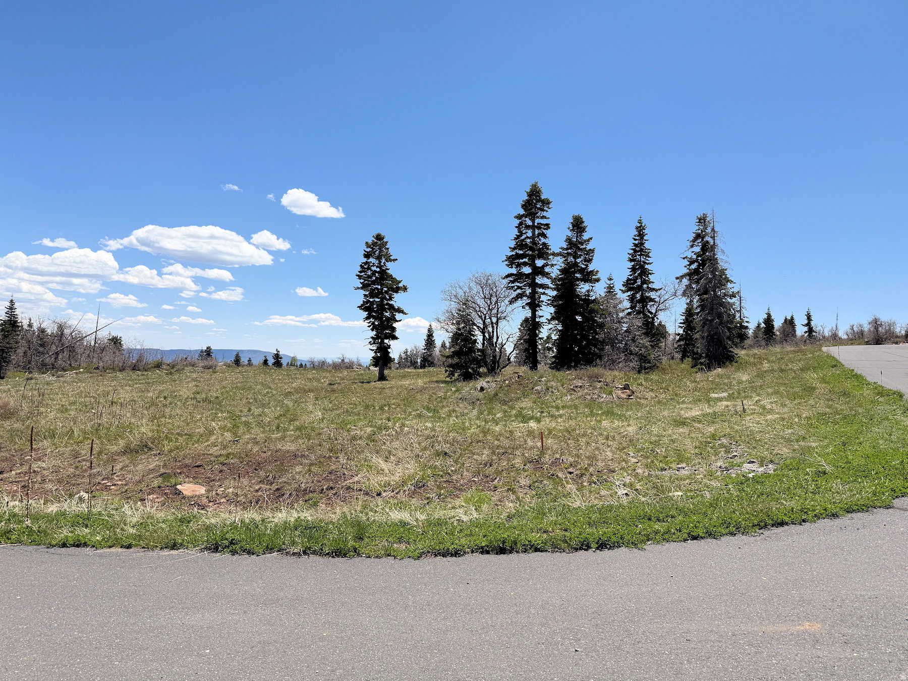 Escape to the mountains and build your perfect seasonal retreat on this beautiful 1.10-acre lot in the sought-after Whispering Pines subdivision. Surrounded by towering pines, open meadows, and breathtaking panoramic scenery, this property offers incredible views of Kolob Mountain and stunning pink cliff vistas stretching across the horizon. The gently sloped lot provides multiple potential building sites that capture the spectacular scenery & peaceful mountain atmosphere. Enjoy cool summer temperatures, crisp mountain air, and endless star-filled nights away from the city heat. Outdoor recreation is right at your fingertips with the nearby Kolob Reservoir offering fishing, kayaking, and relaxing days on the water. Whether you're looking for a seasonal getaway, future cabin site, or private escape into nature, this property delivers the perfect balance of seclusion, beauty, and recreation.