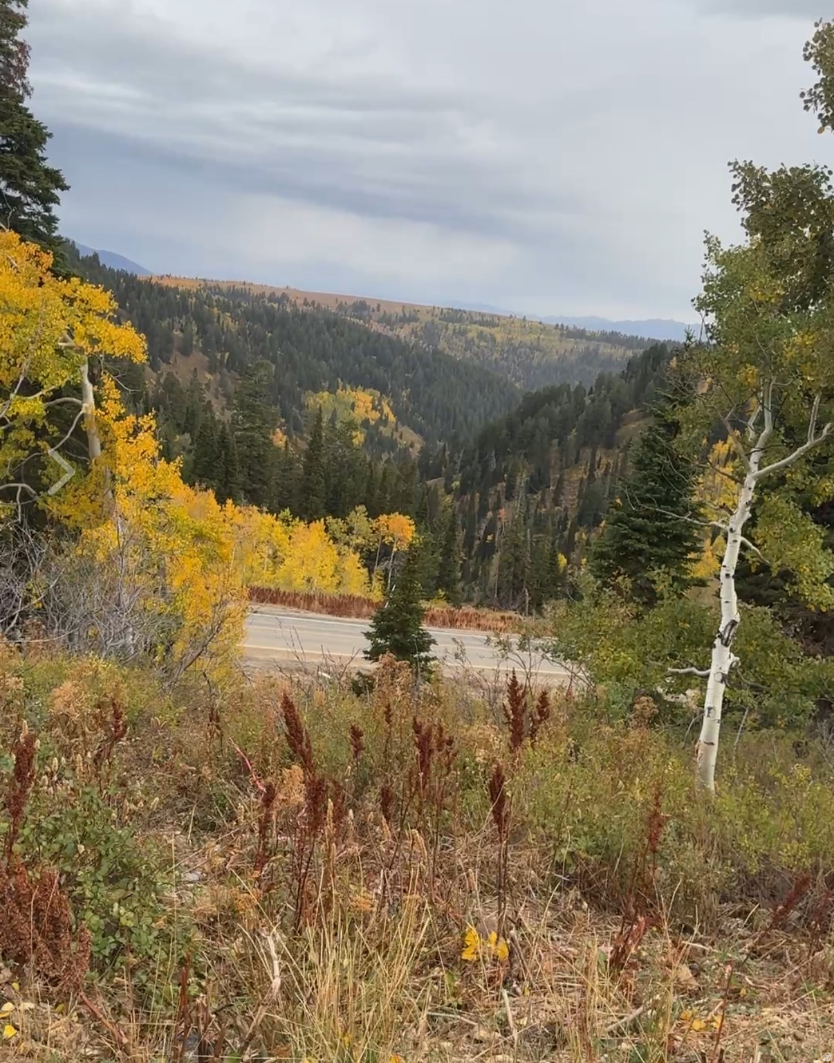 POWDER MOUNTAIN WEST - Land