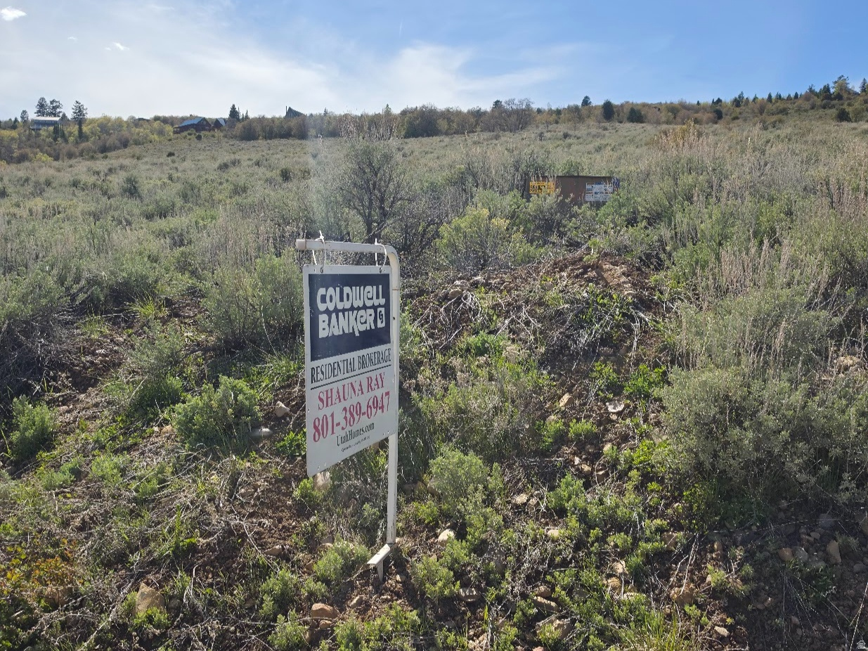 Priced for your goals in mind!  Are  you ready to build your Dream home or cabin with year round access? This exceptional property has breath taking VIEWS of Bear Lake's iconic turquoise waters and the surrounding mountain landscape. Culinary Water and Power is at the street. Enjoy effortless access to Highway 89, Bear Lake, stretches of national forest land, the heart of Garden City (home to charming restaurants, boutique shops, and world-famous raspberry shakes), and Beaver Mountain Ski Resort (located just 15 minutes away). Bring your side-by-side, boat, fishing gear, mountain bike, snowmobile, and skis, as Garden City is a haven for every kind of outdoor adventure. With newly built homes in the same subdivision valued at $1,084,000+, this homesite offers exceptional  potential and a rare opportunity to create significant equity.