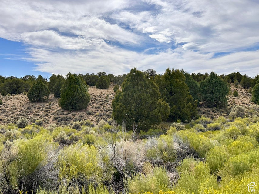 PAUNSAUGUNT CLIFFS SUBDIVISION - Land