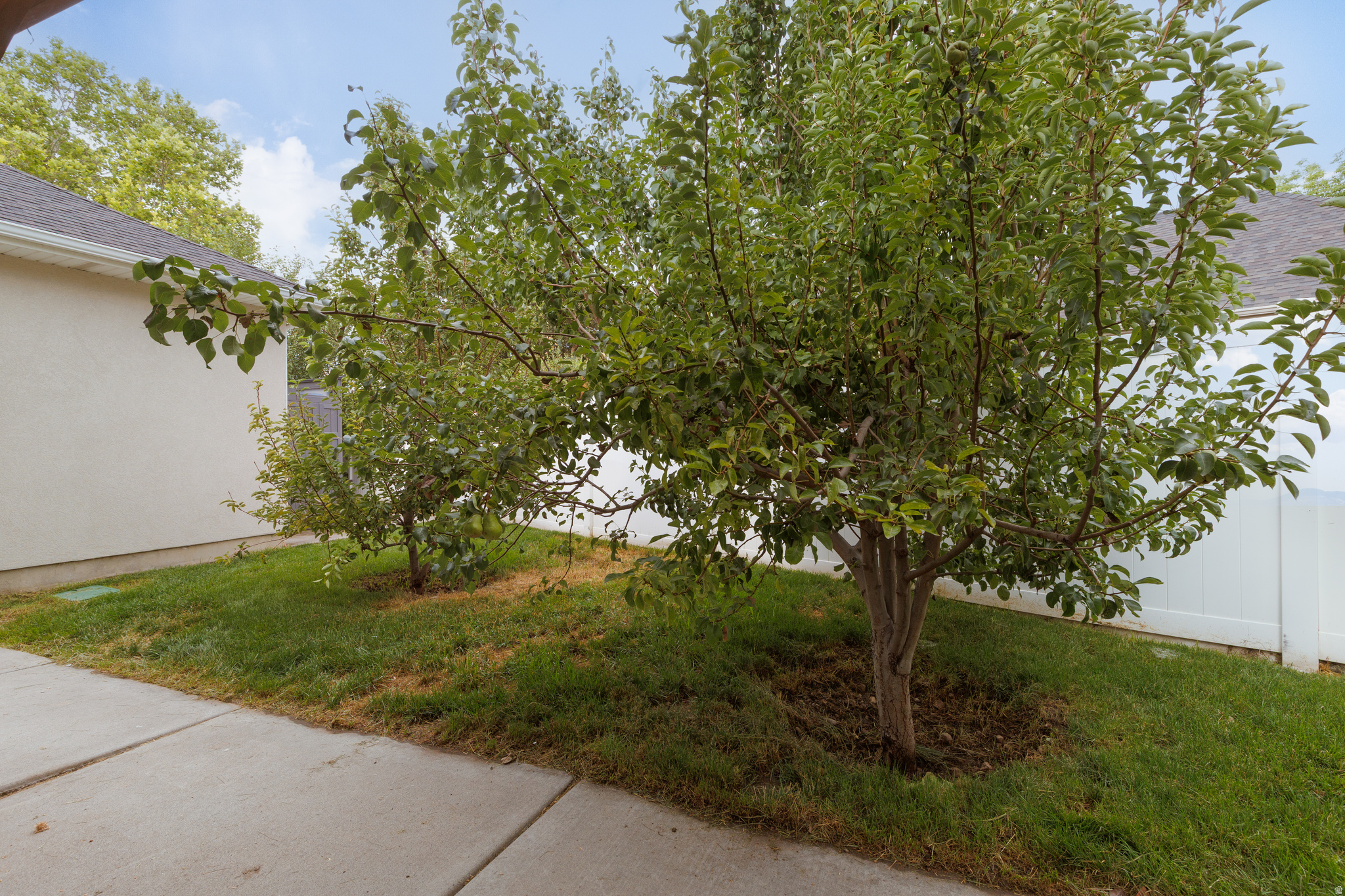 NORTH TEMPLE ESTATES - Residential