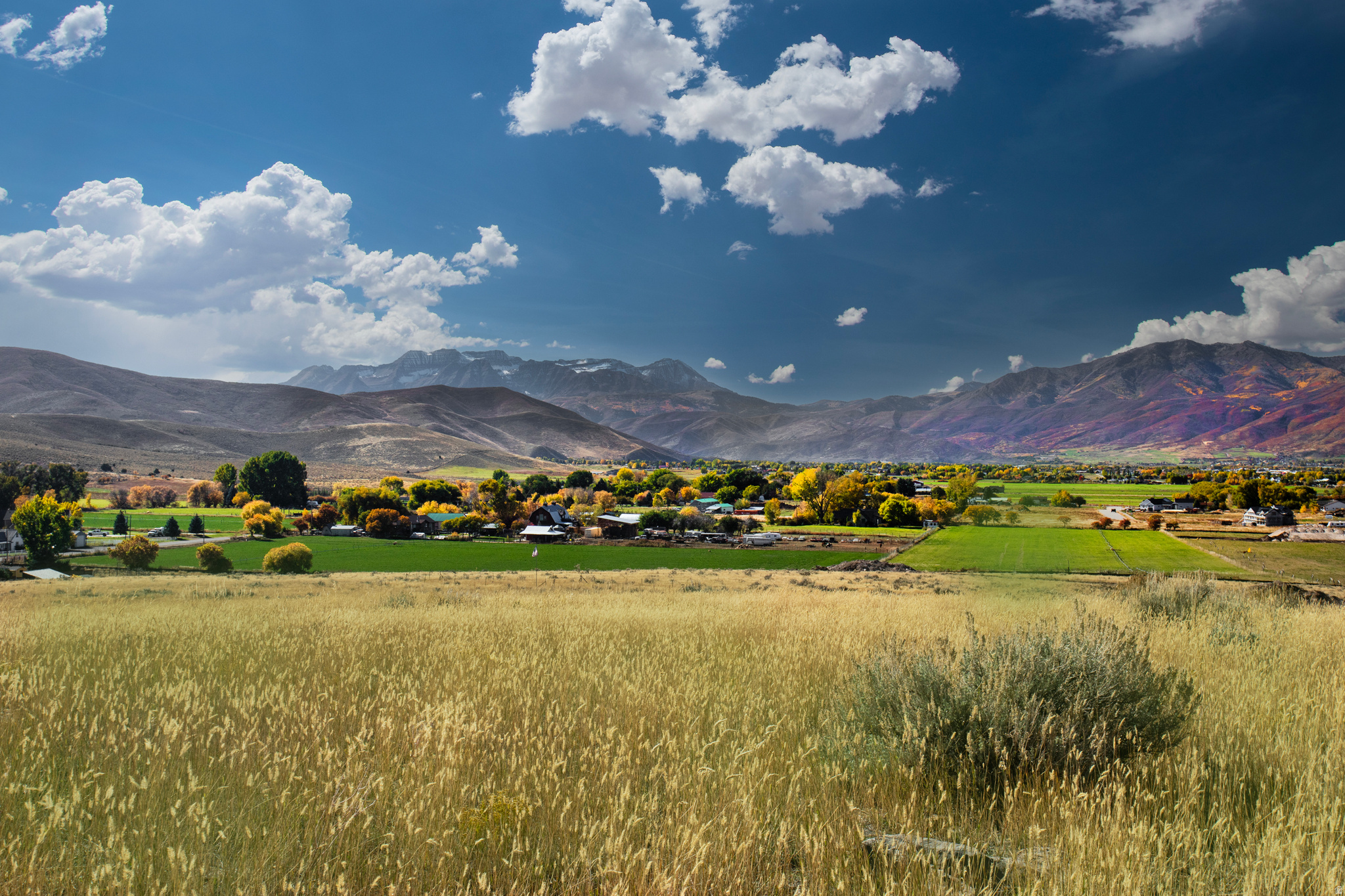 SAHALE - Land