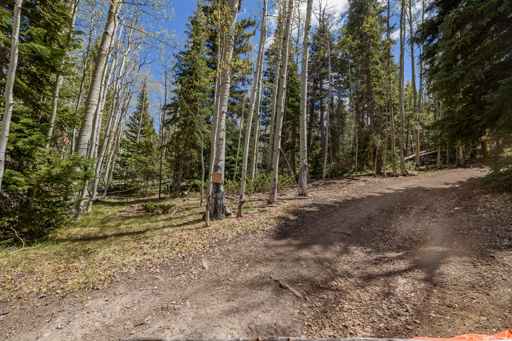 CLEAR CREEK ESTATES - Land