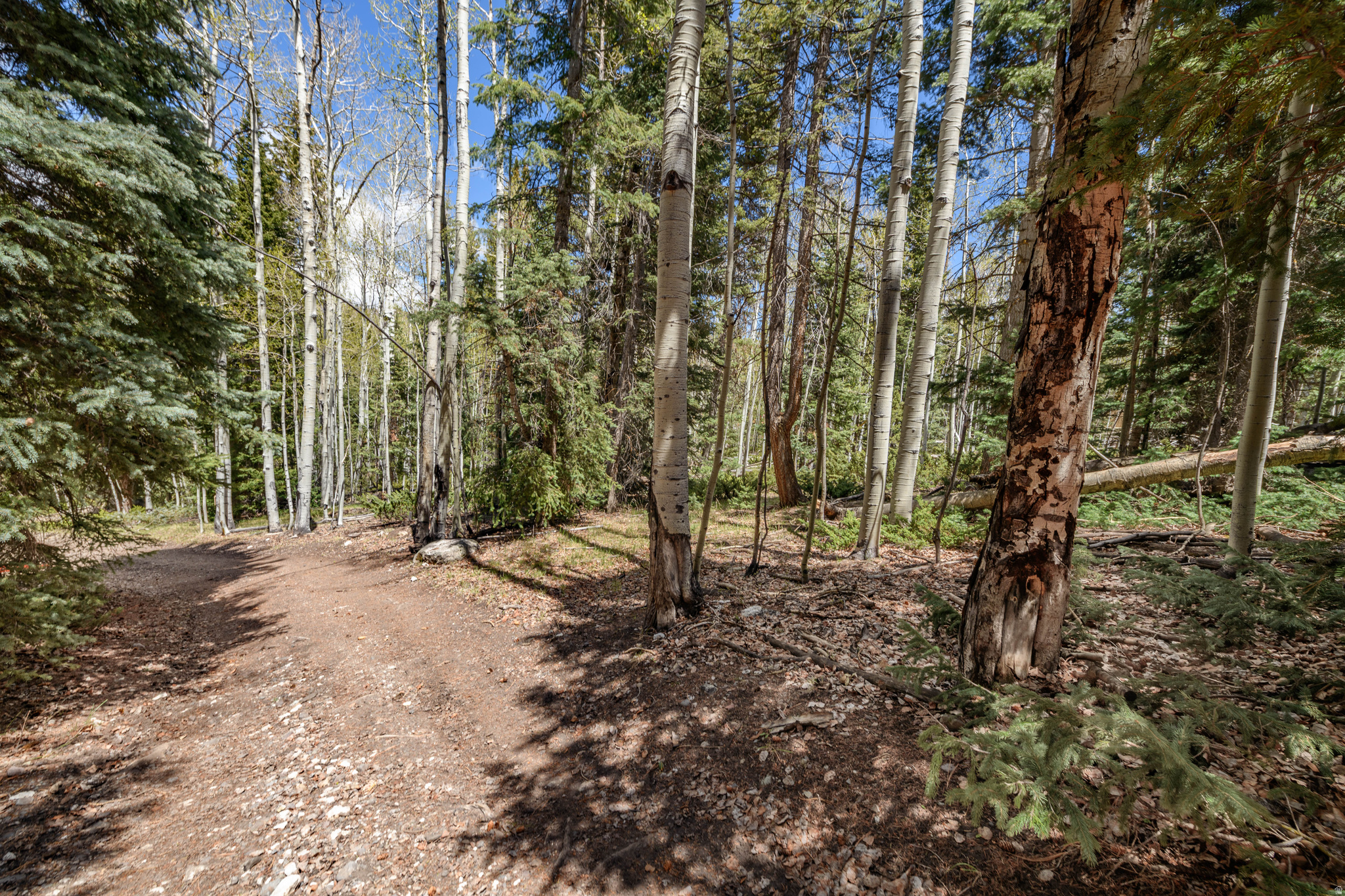 CLEAR CREEK ESTATES - Land