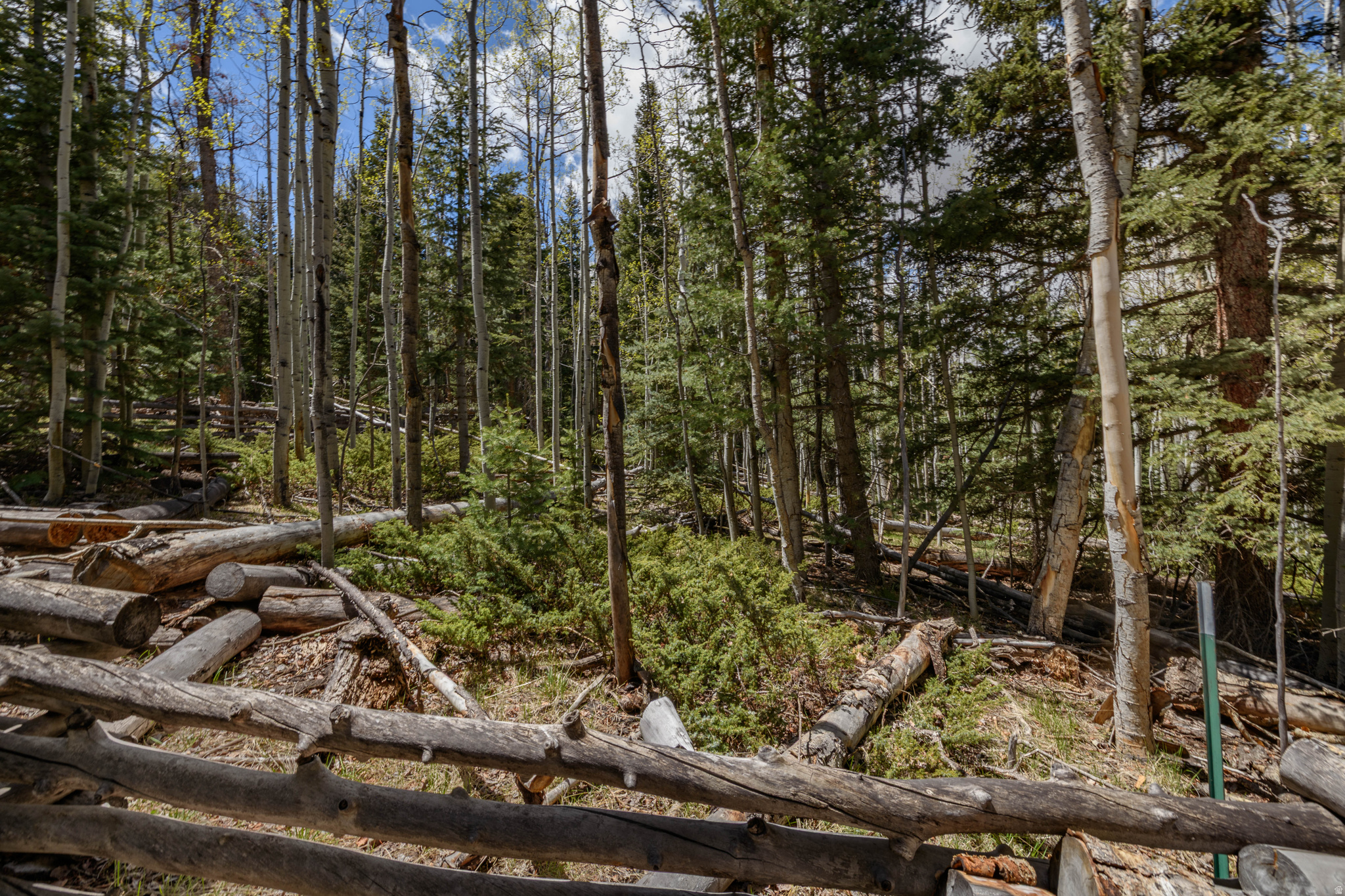 CLEAR CREEK ESTATES - Land