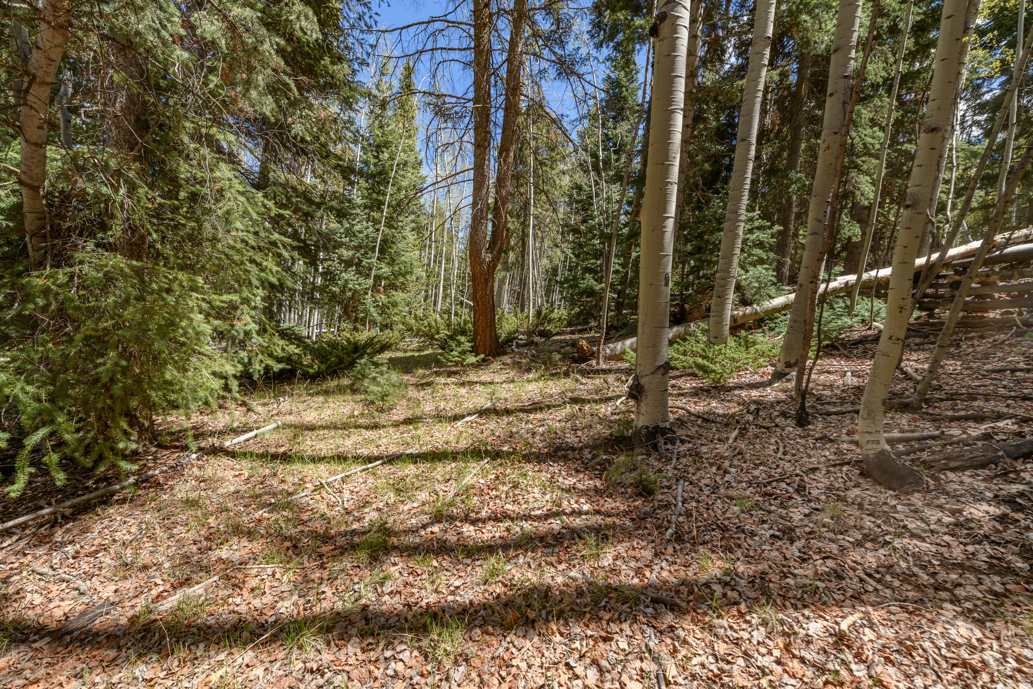 CLEAR CREEK ESTATES - Land