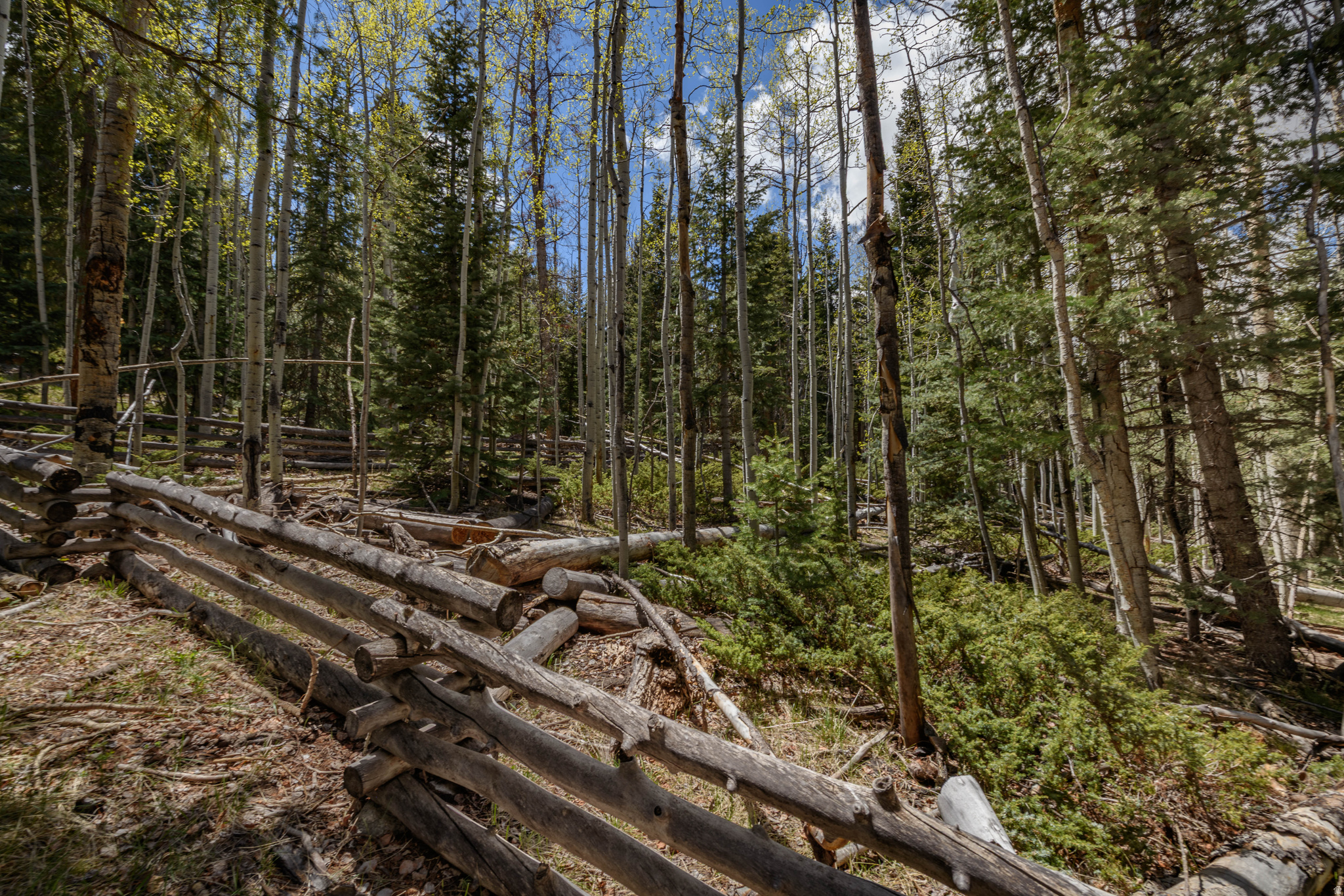 CLEAR CREEK ESTATES - Land