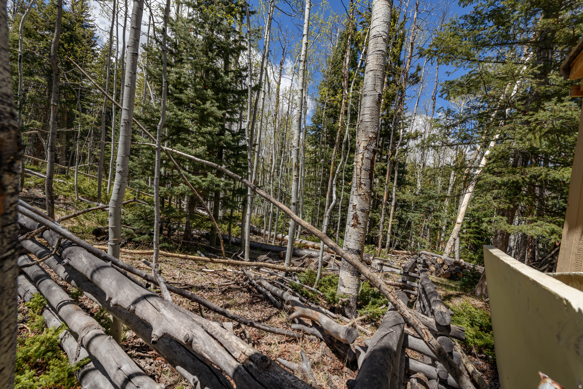 CLEAR CREEK ESTATES - Land