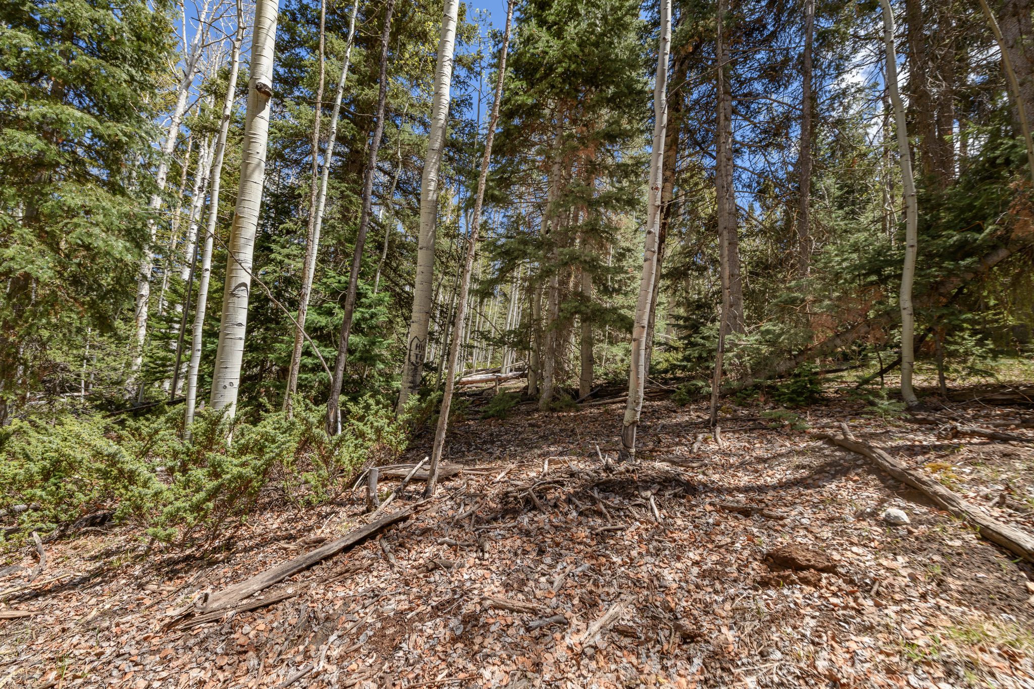 CLEAR CREEK ESTATES - Land