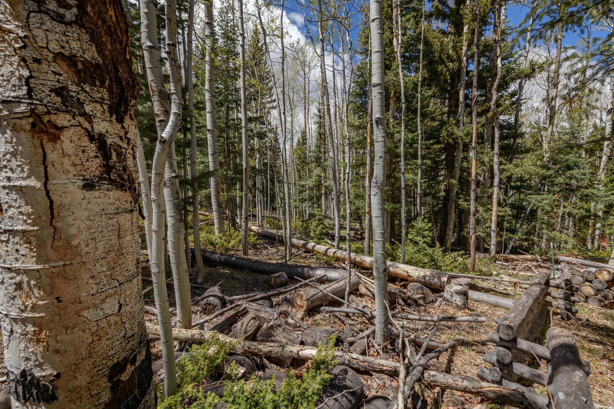 CLEAR CREEK ESTATES - Land