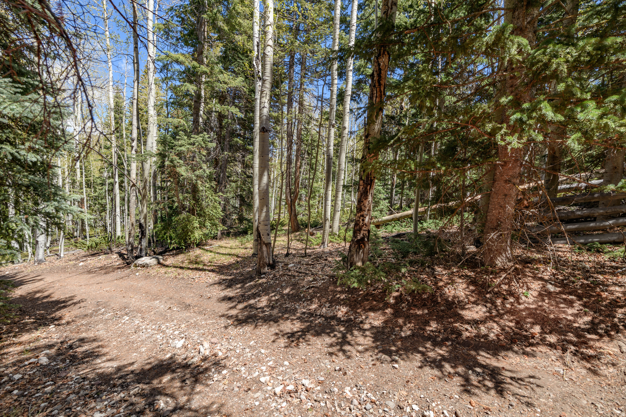 CLEAR CREEK ESTATES - Land