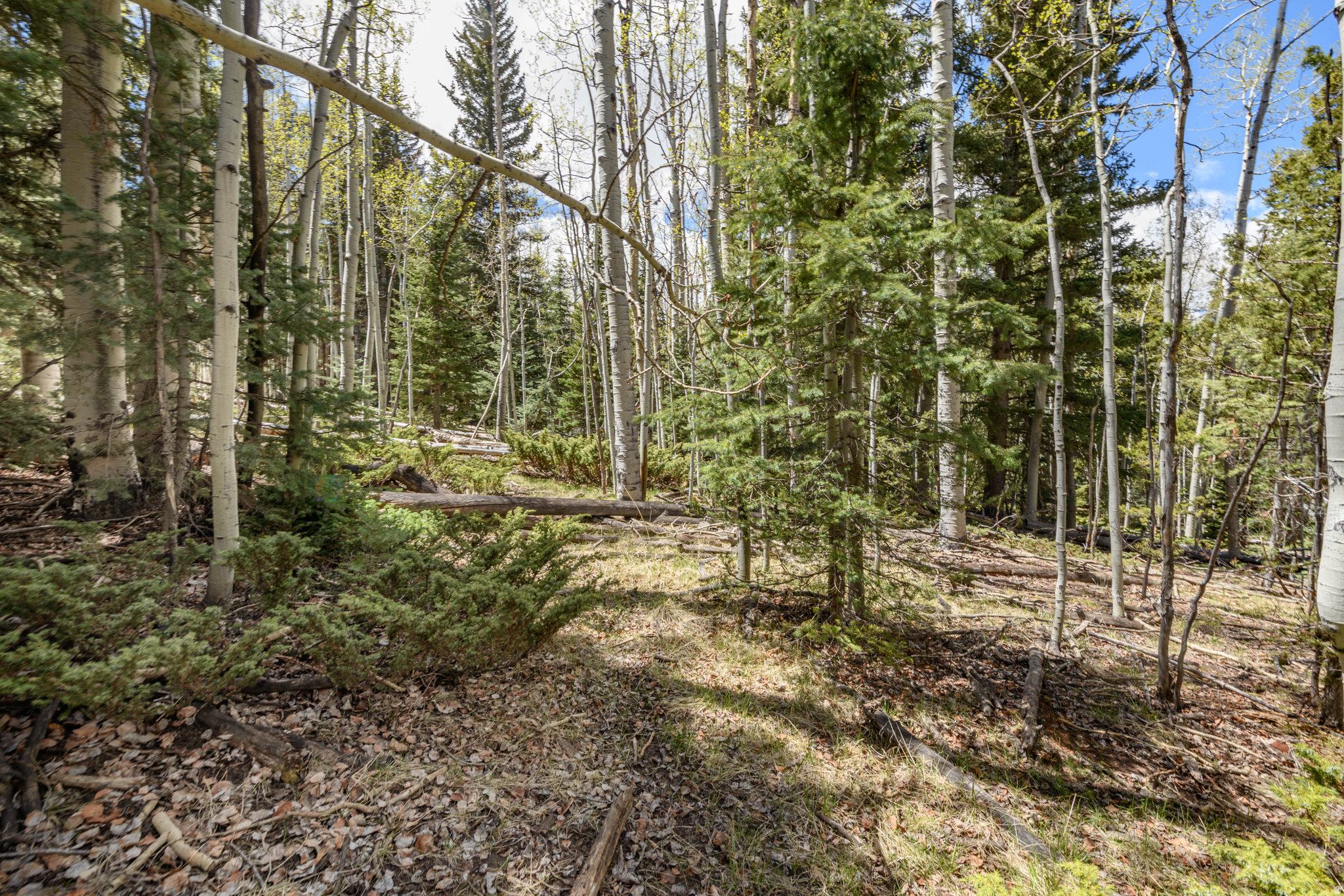 CLEAR CREEK ESTATES - Land