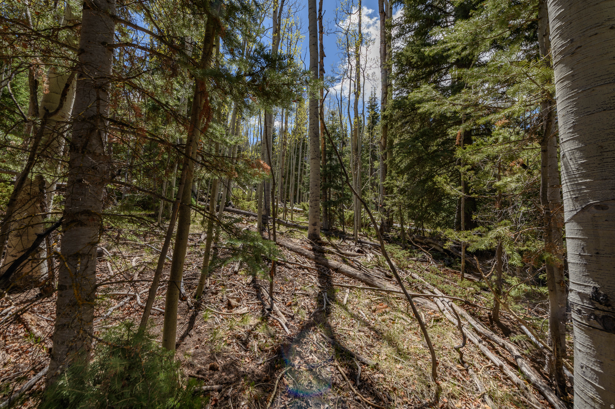 CLEAR CREEK ESTATES - Land