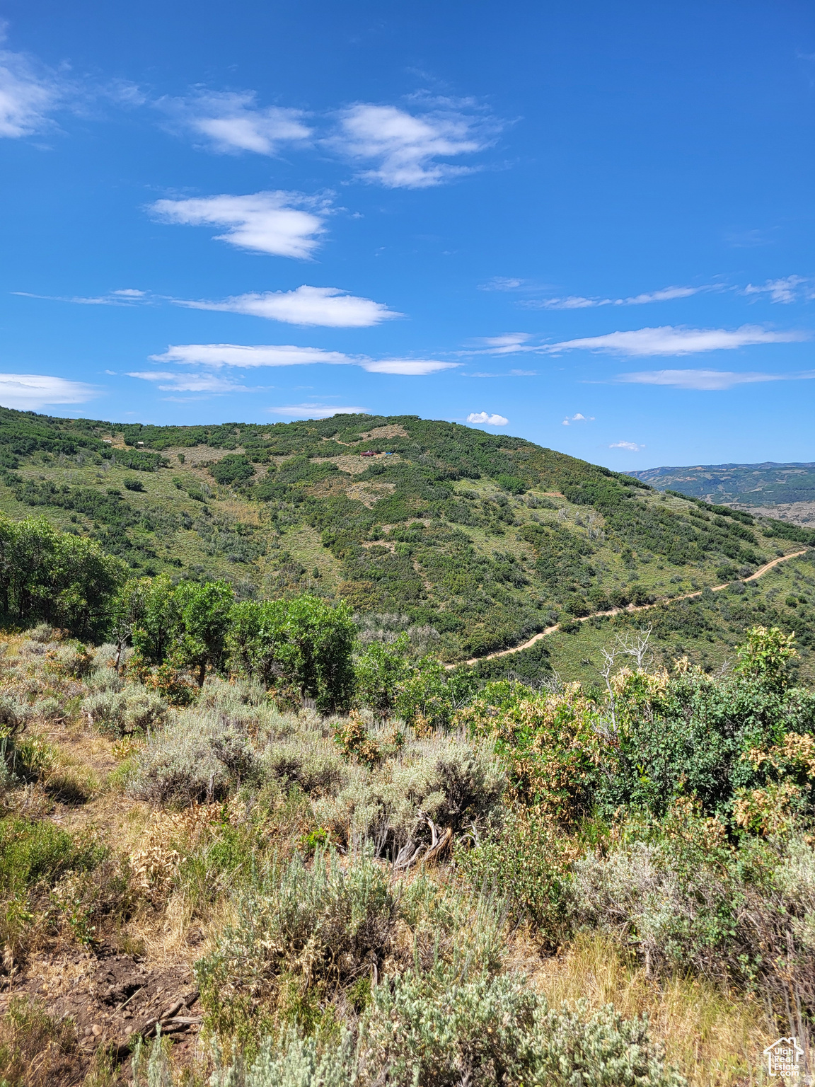 ECHO CREEK RANCH - Land
