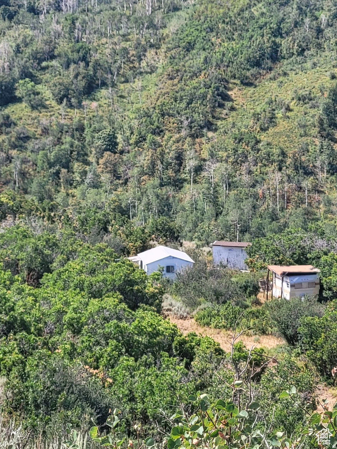 ECHO CREEK RANCH - Land