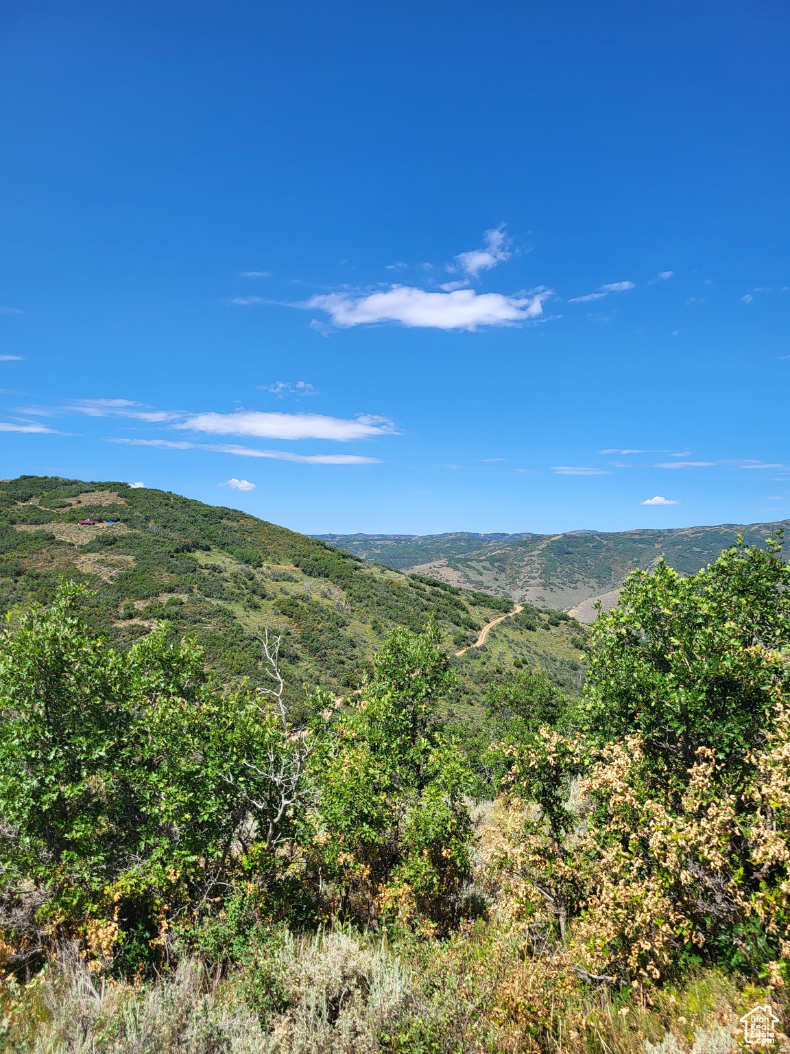 ECHO CREEK RANCH - Land