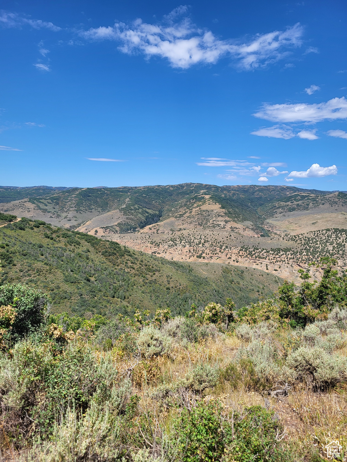 ECHO CREEK RANCH - Land