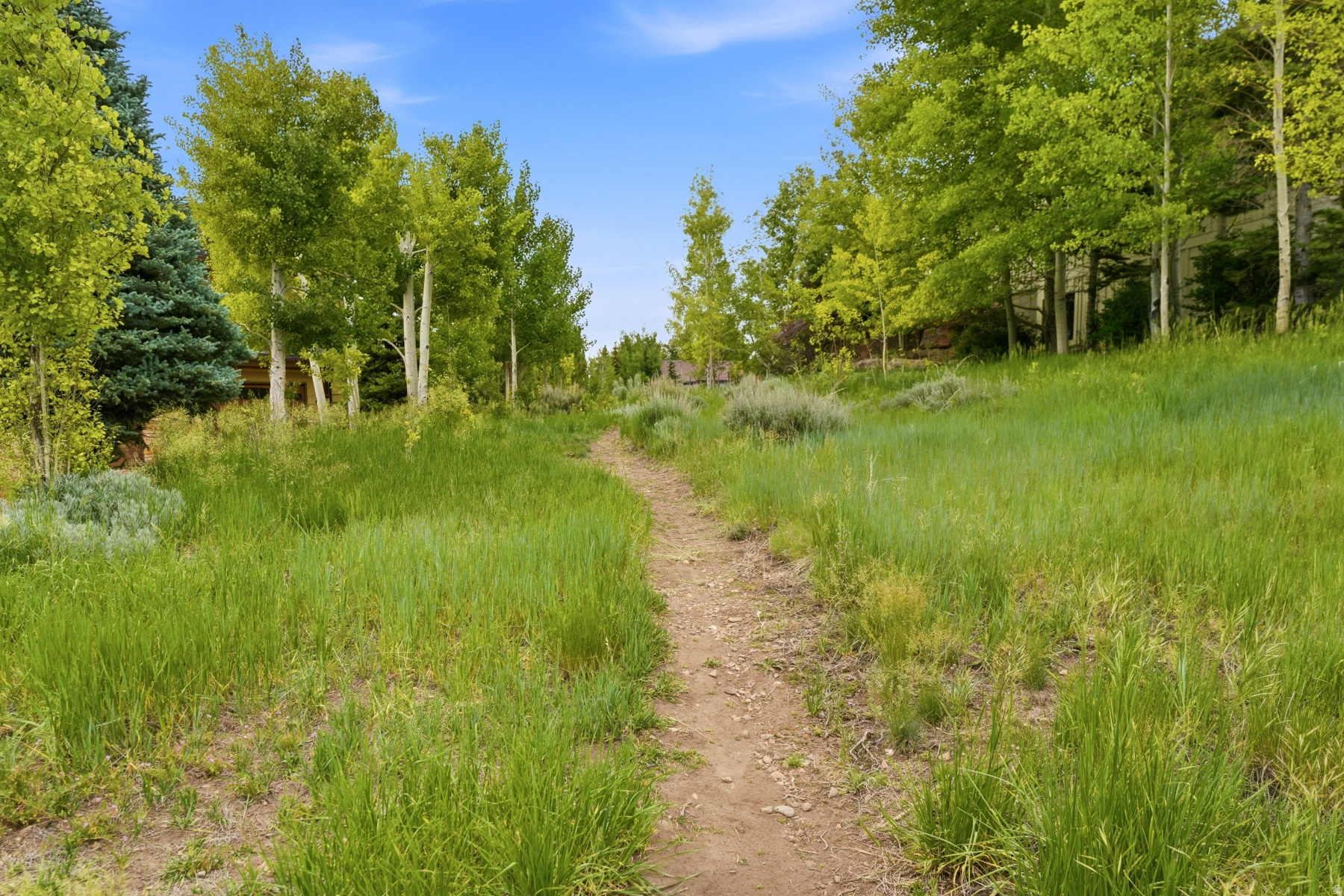 MOUNTAIN RANCH ESTATES - Land