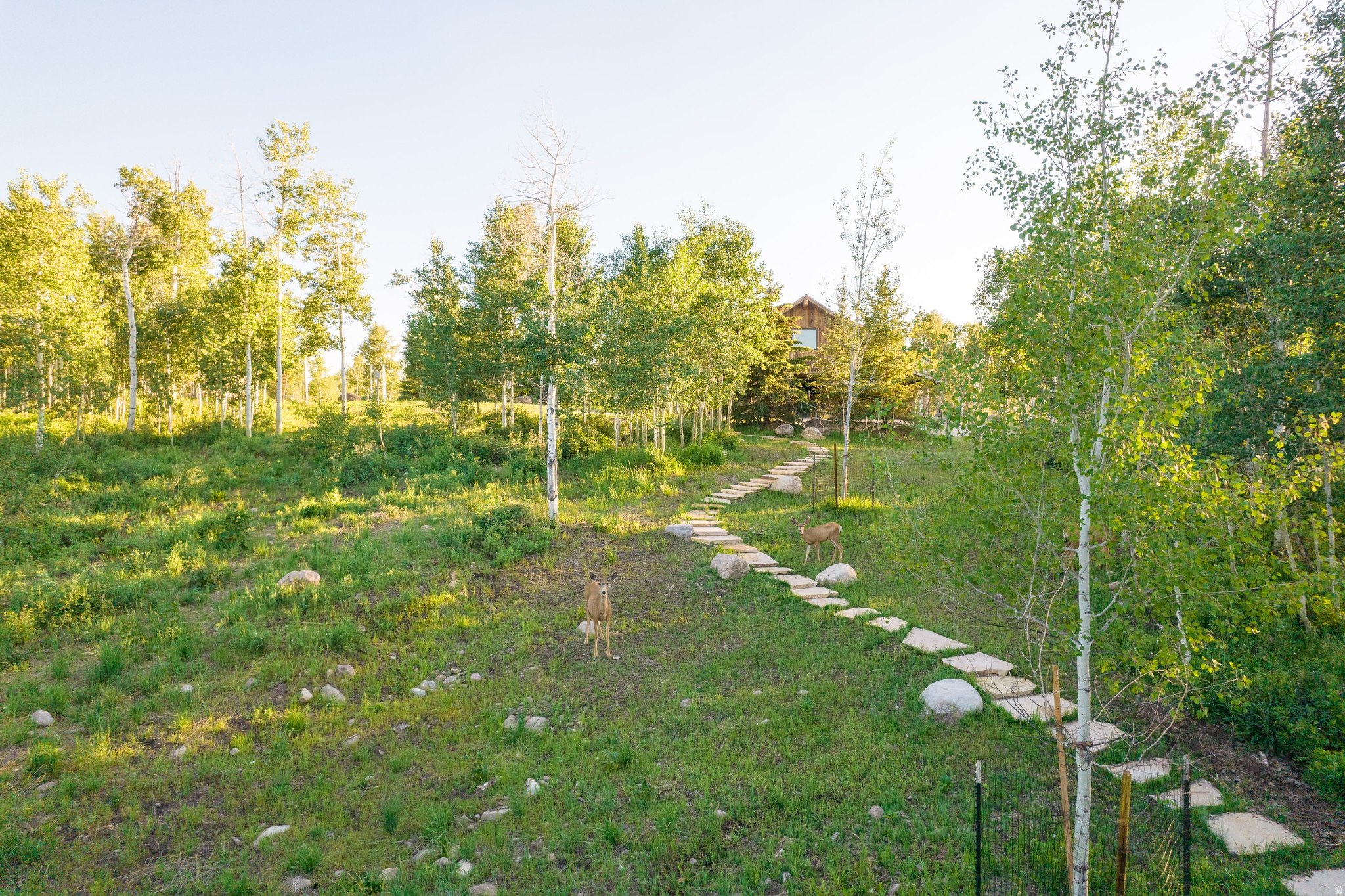 WOLF CREEK - Residential