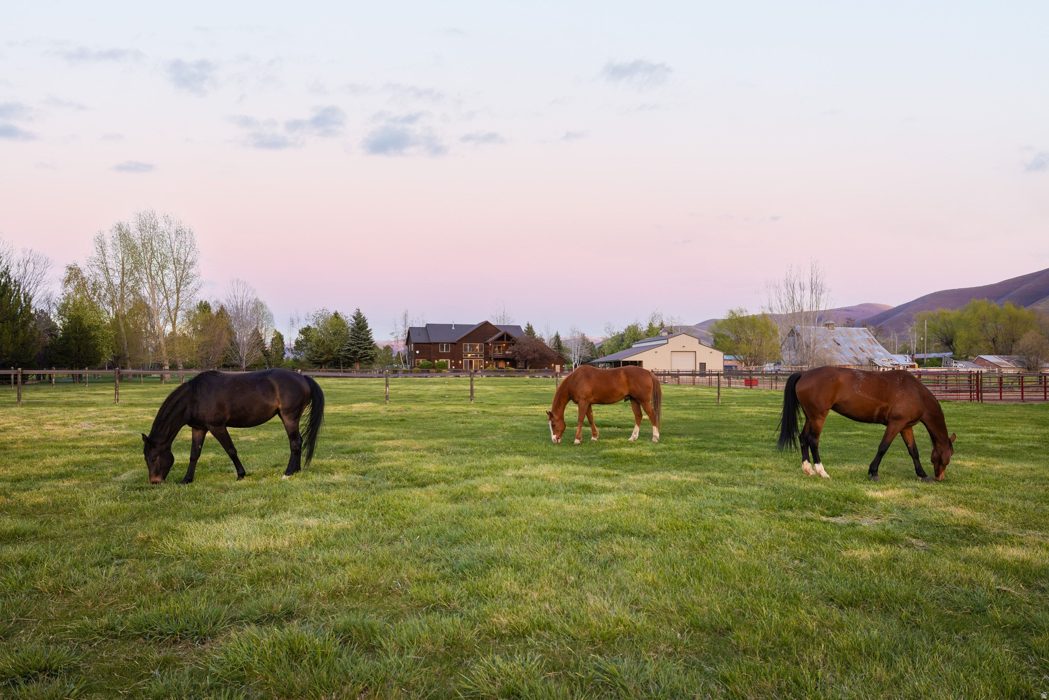 WINTERTON FARMS - Residential