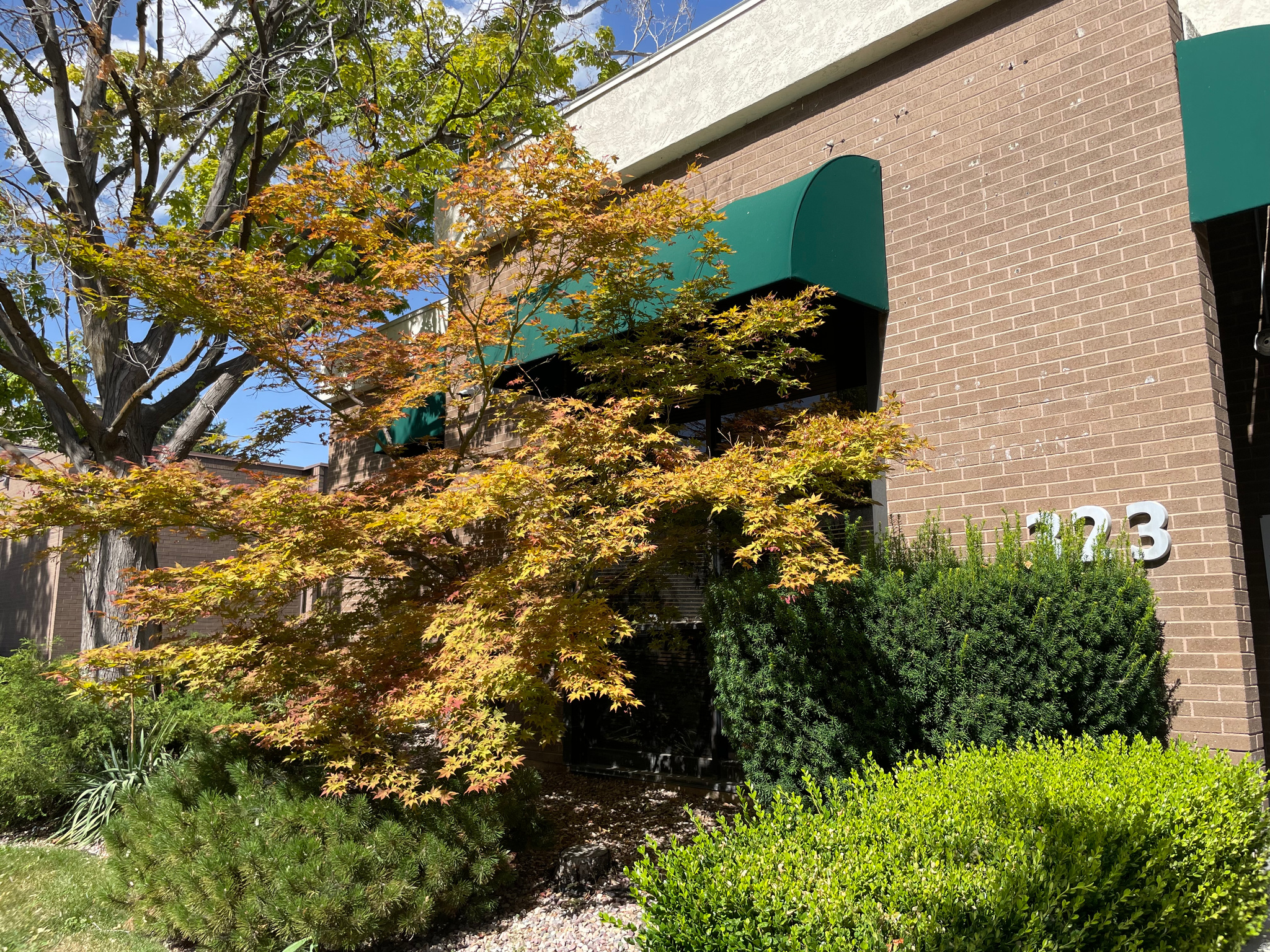 PLAT B SLC SUR - Commercial Sale