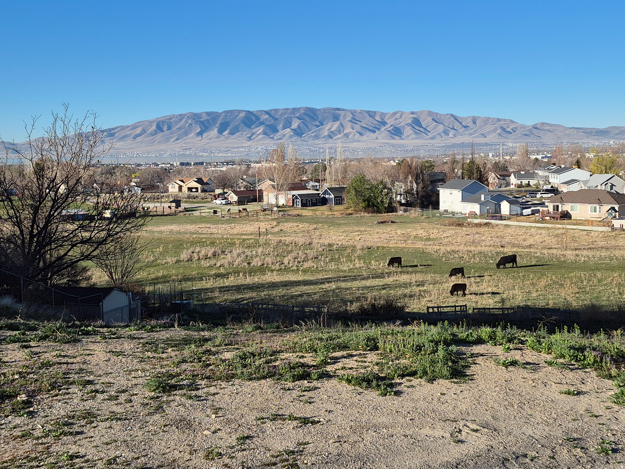 Beautiful views of Valley,Utah Lake, Mountains, Sunsets and City Lights. Nearby to schools, shopping, restaurants, parks, golf, and entertainment.