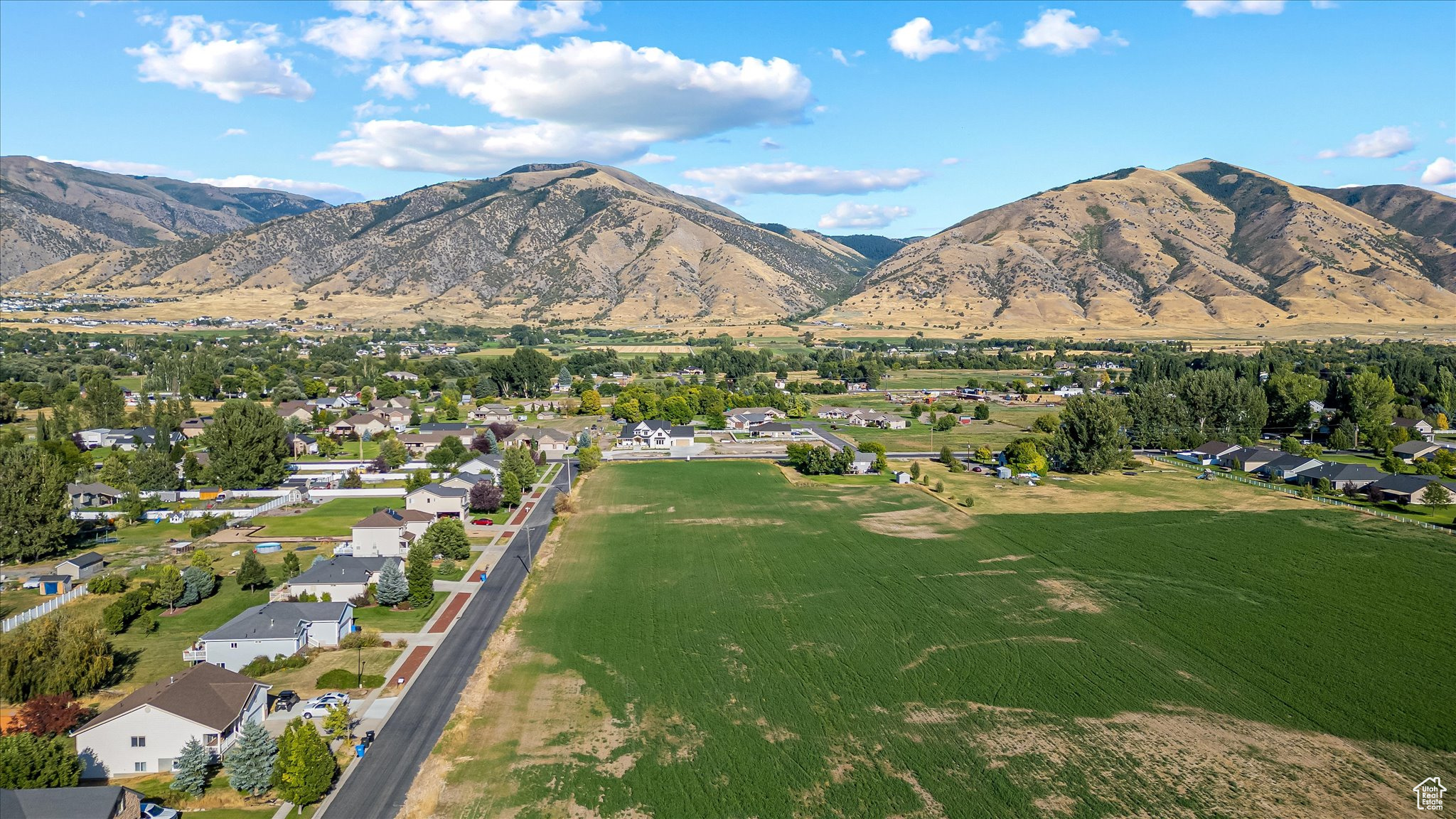 JOHNSON MEADOWS - Land
