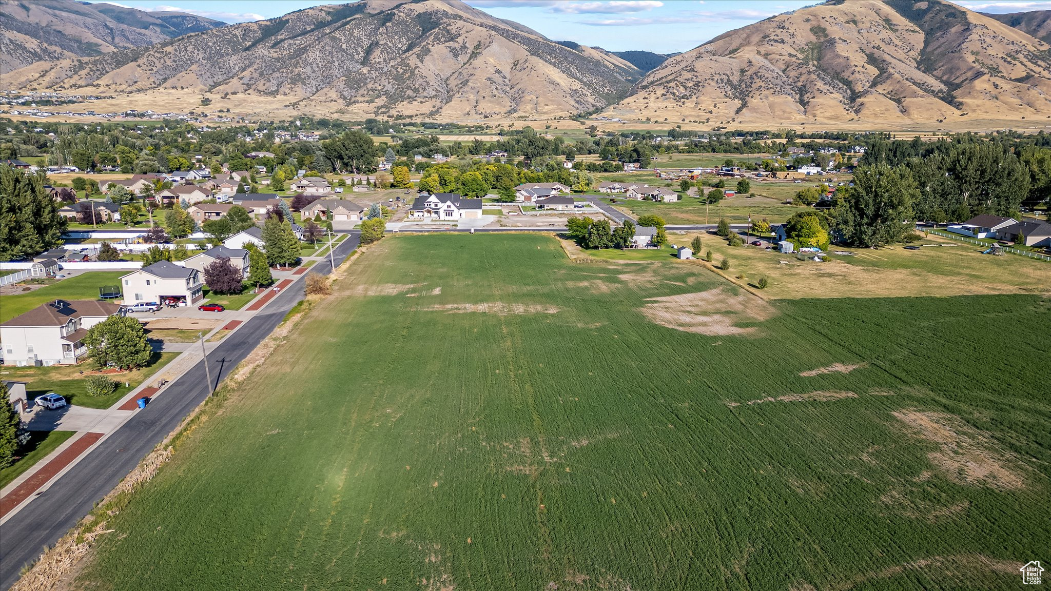 JOHNSON MEADOWS - Land